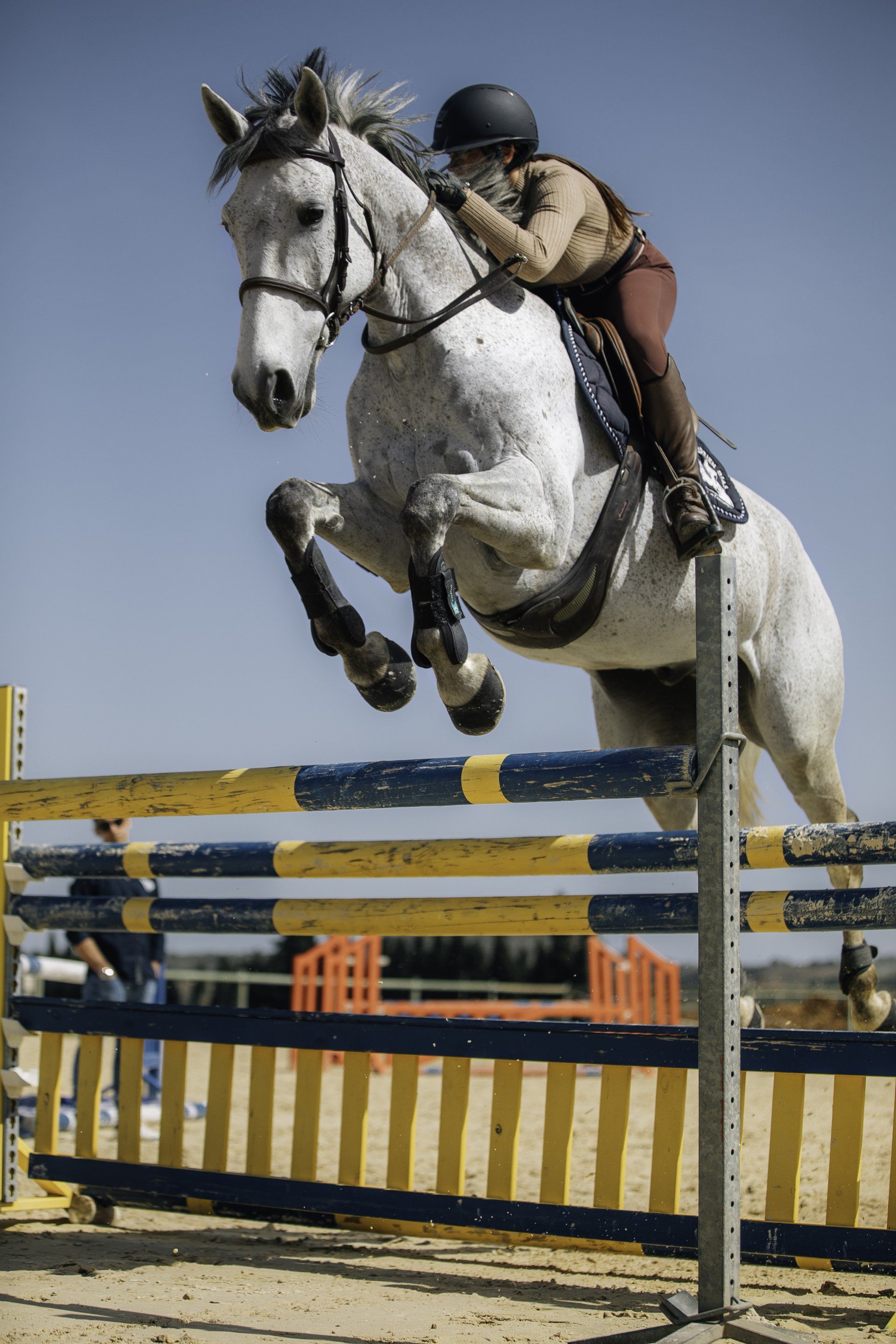 horse supplements