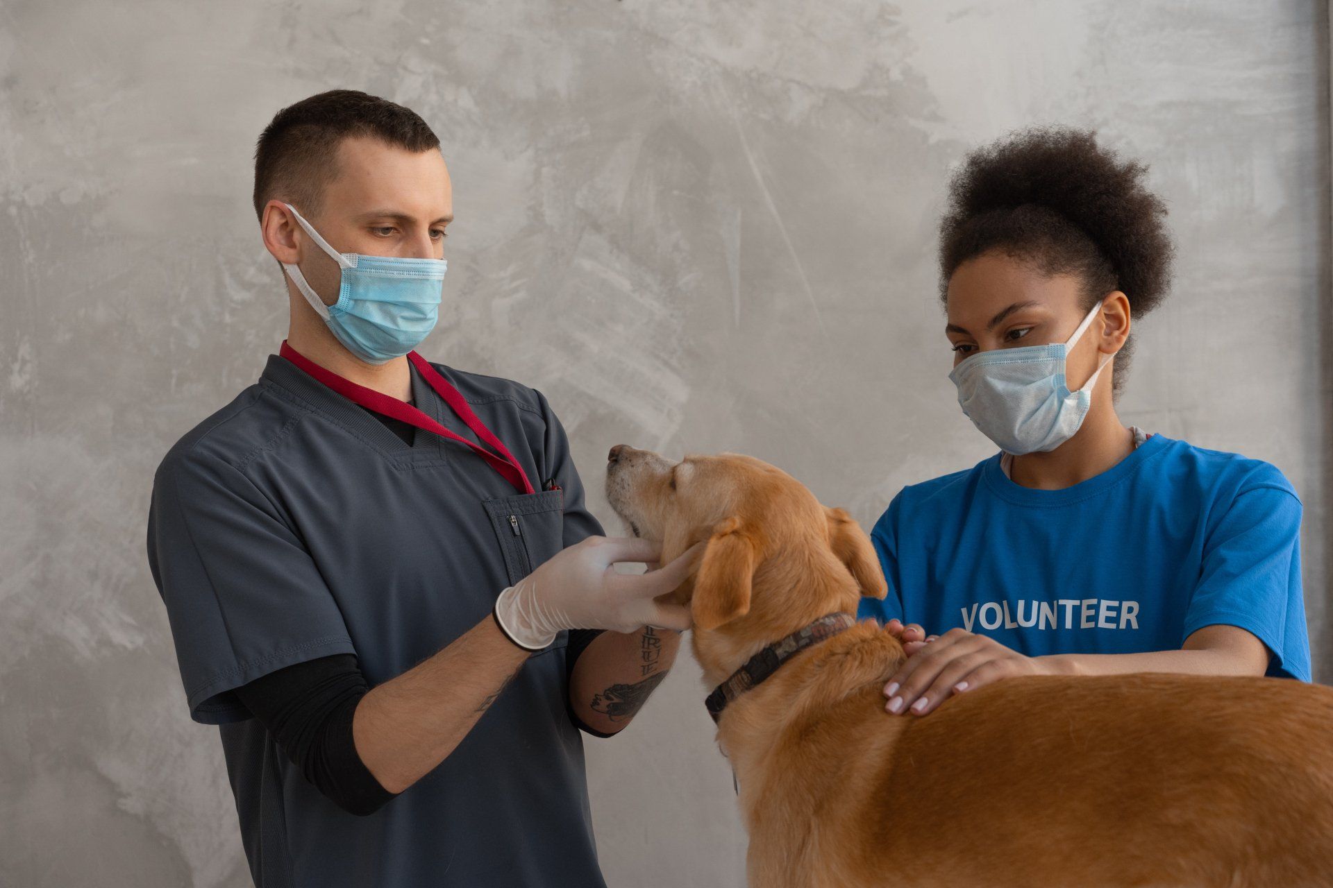 pet-dentist-with-dog