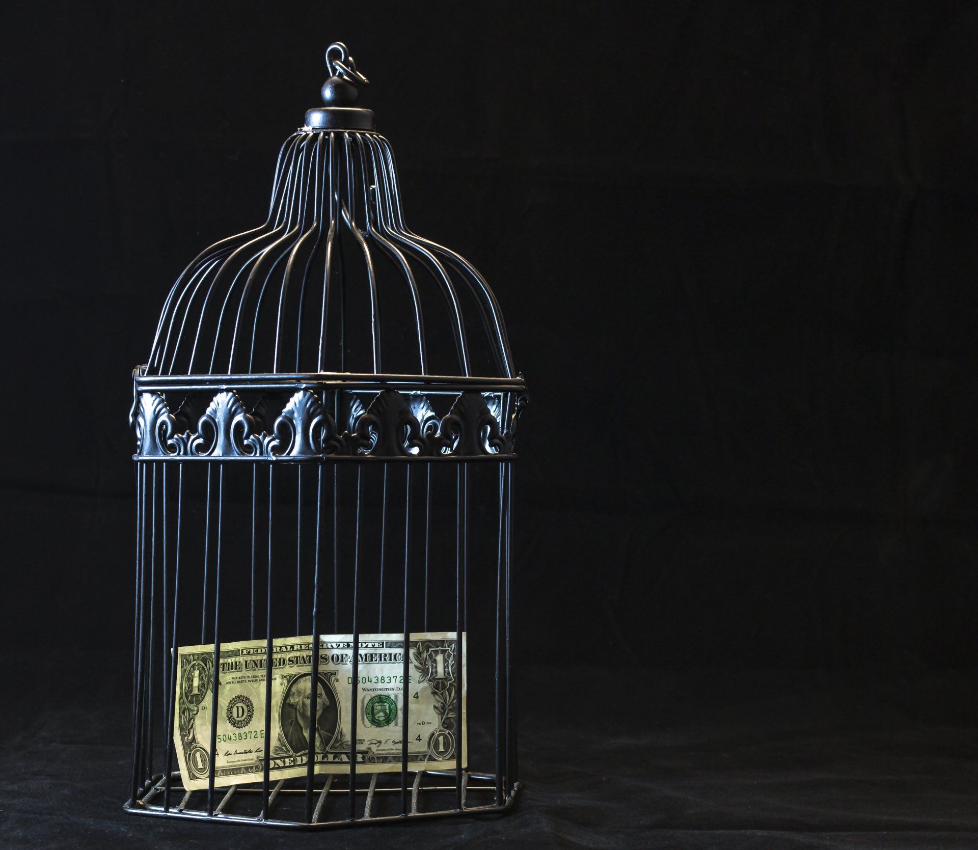 A bird cage with a dollar bill in it