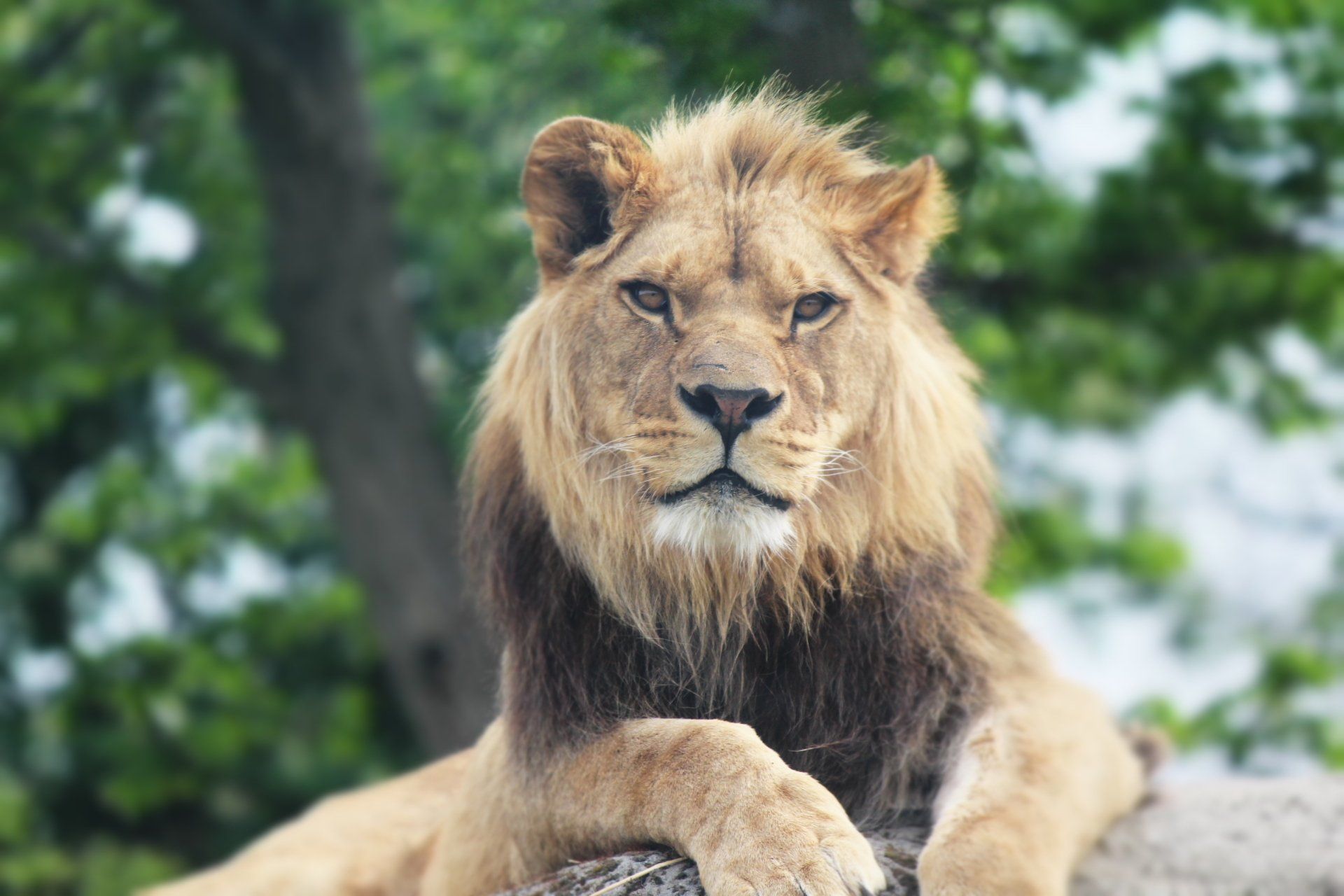 zoos