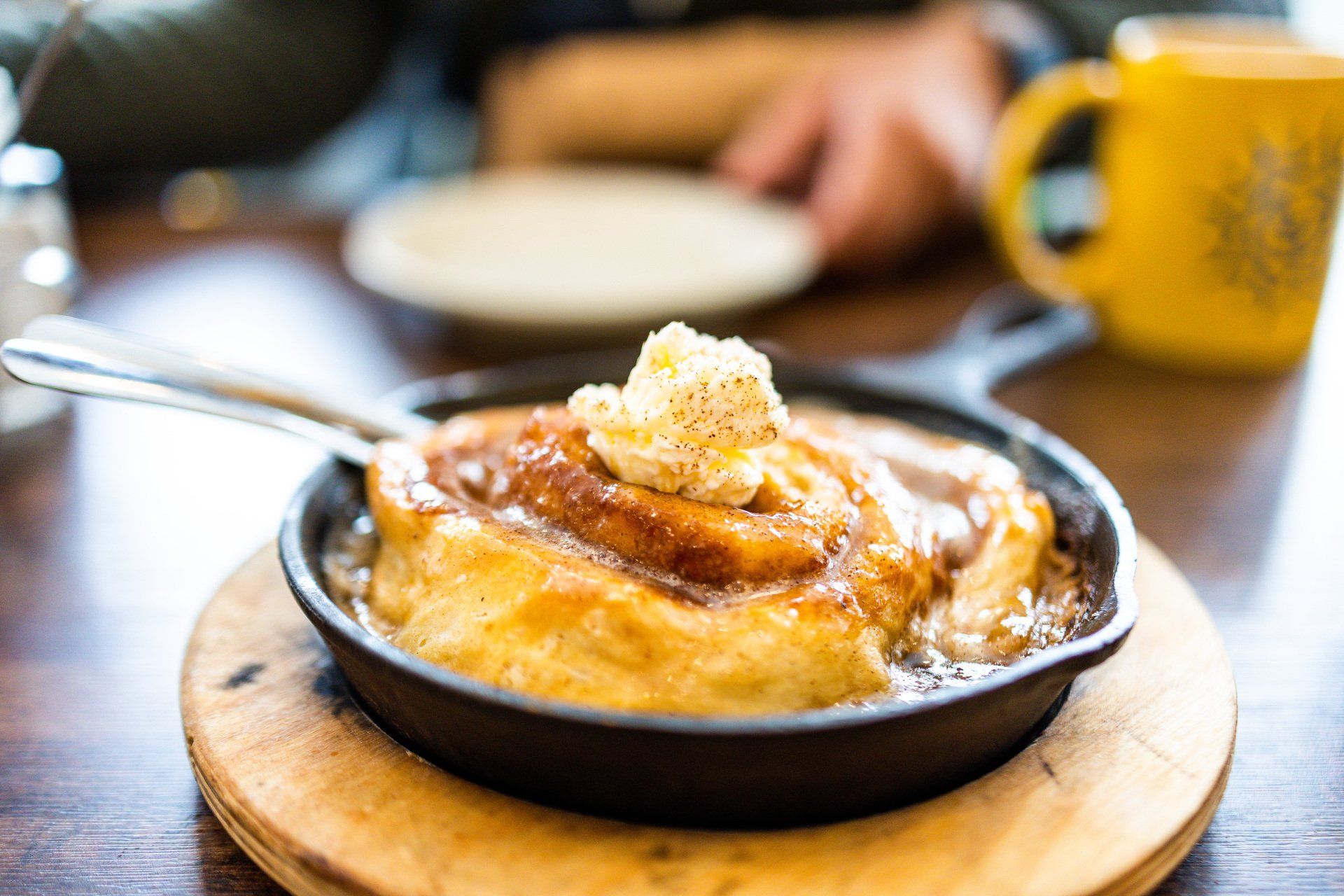 Iron skillet pan