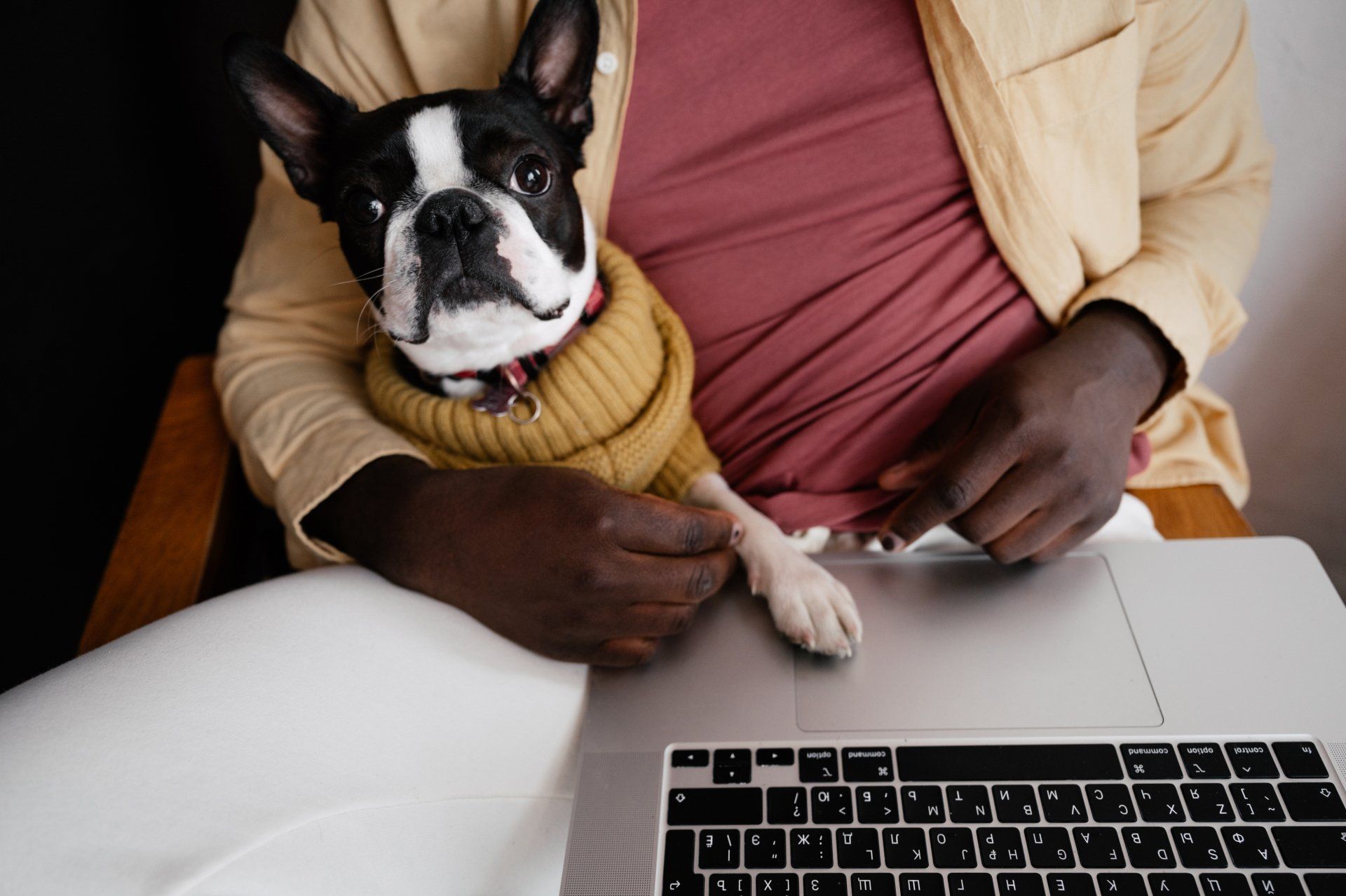 A man is holding a Boston doing research