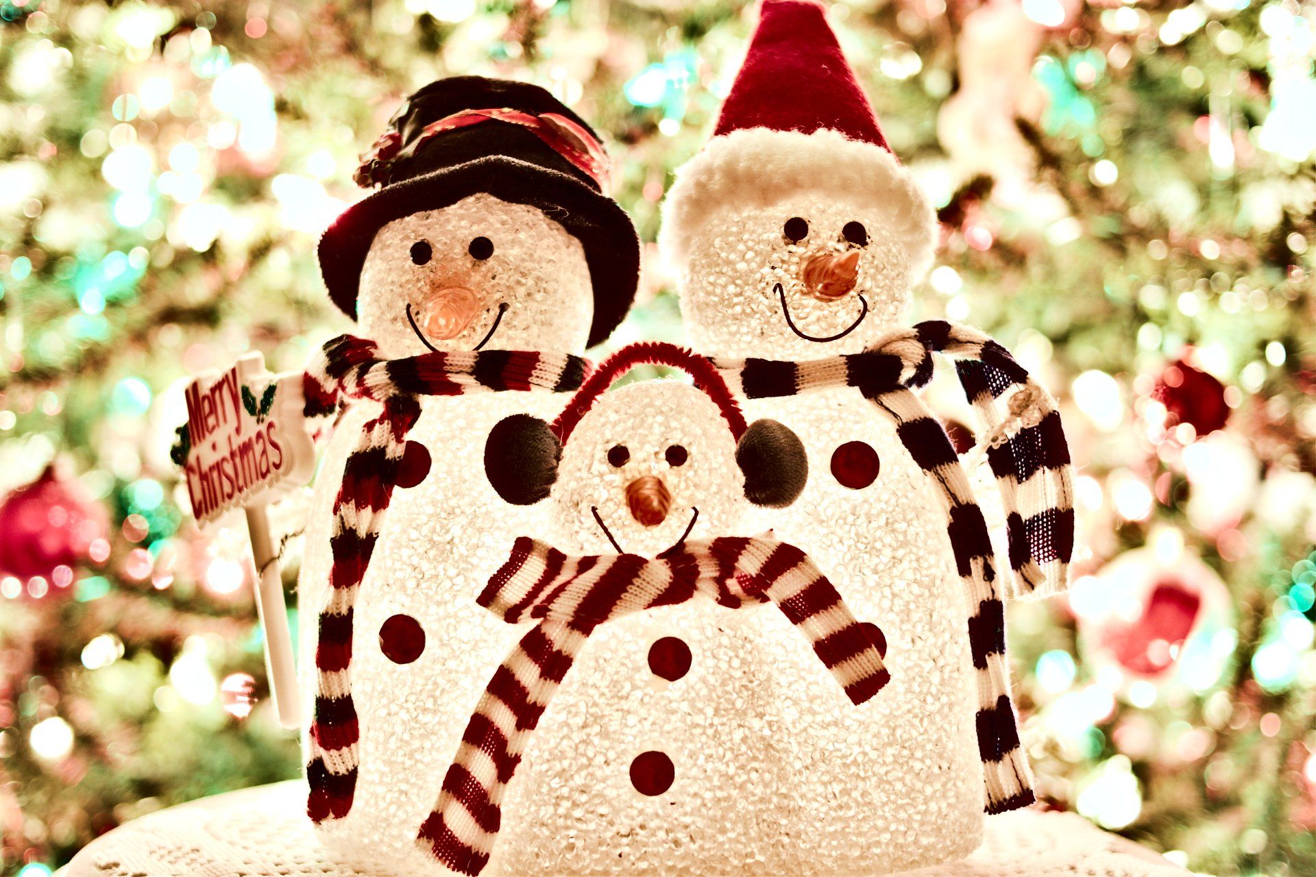 Snowman Christmas lights for your home in Chesapeake VA