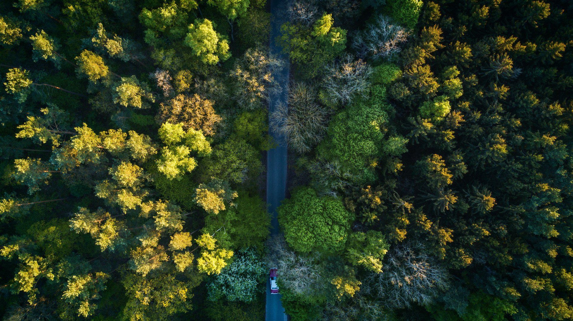 An aerial view of a road going through a forest.