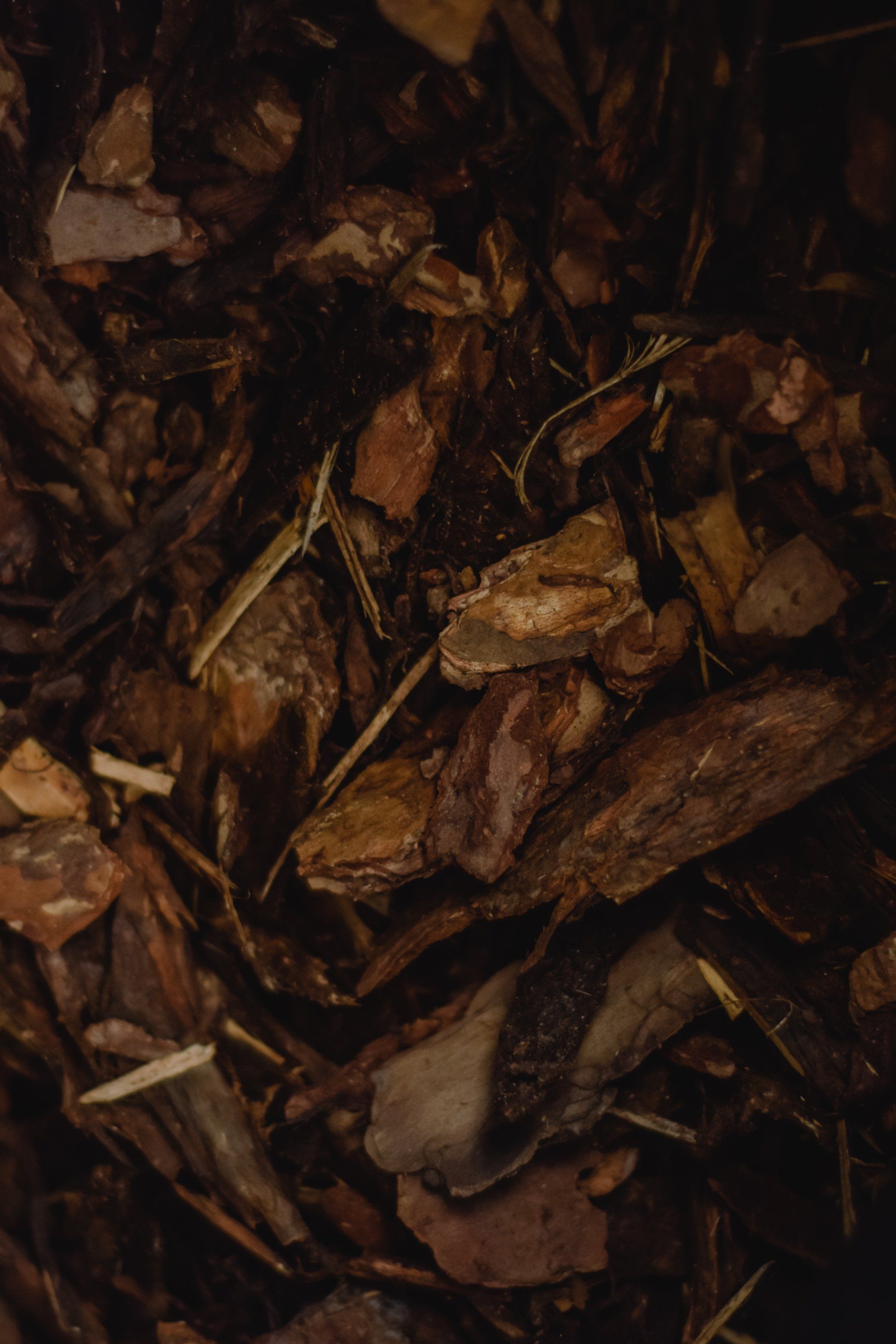 Mulch and Substrate Removal | Tampa, FL | Blue Whale Junk Removal