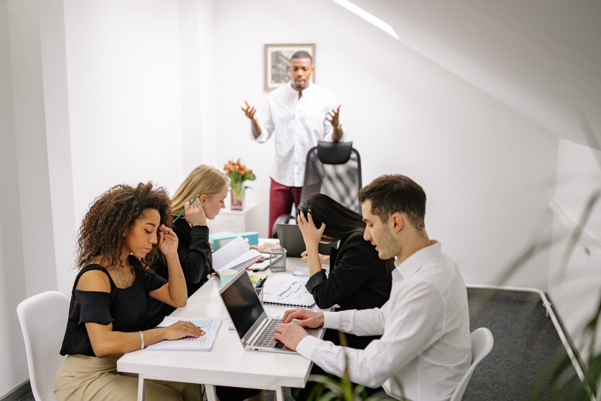 Senior Support and Business Analyst