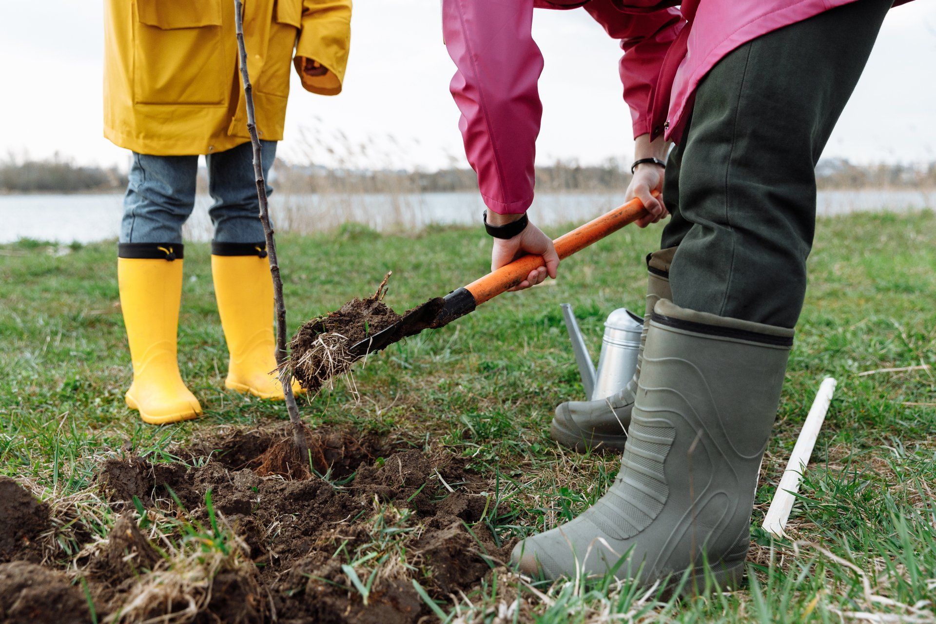 Person planting a tree with a shovel; another person stands nearby in yellow boots.