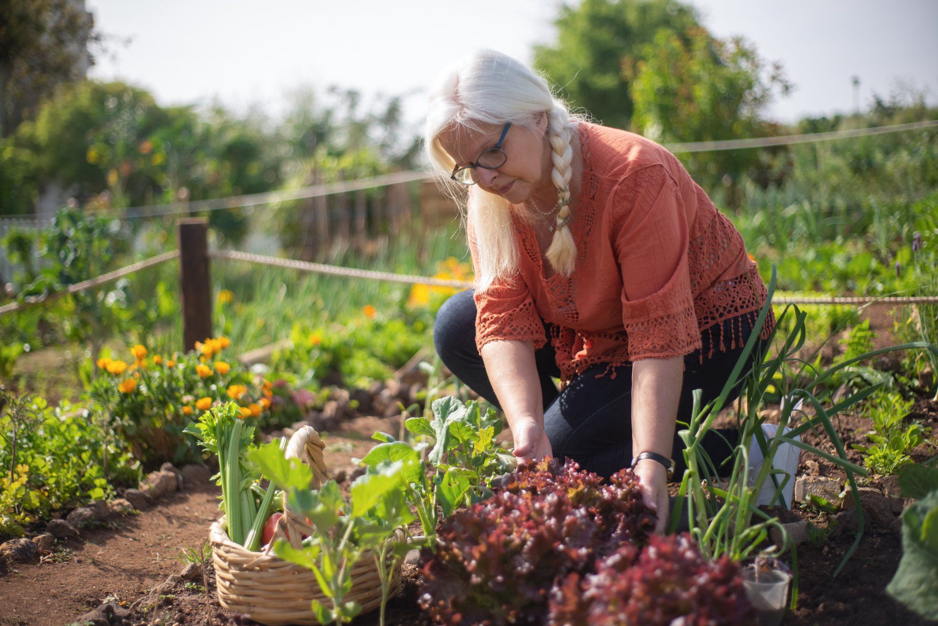 organic-gardening-tips