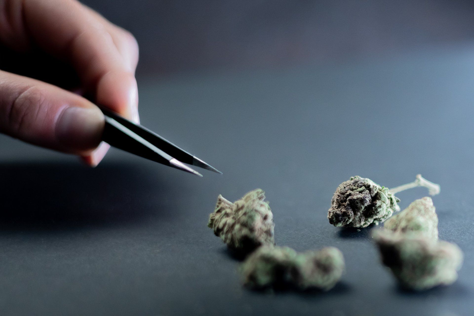 California Cannabis Compliance Testing