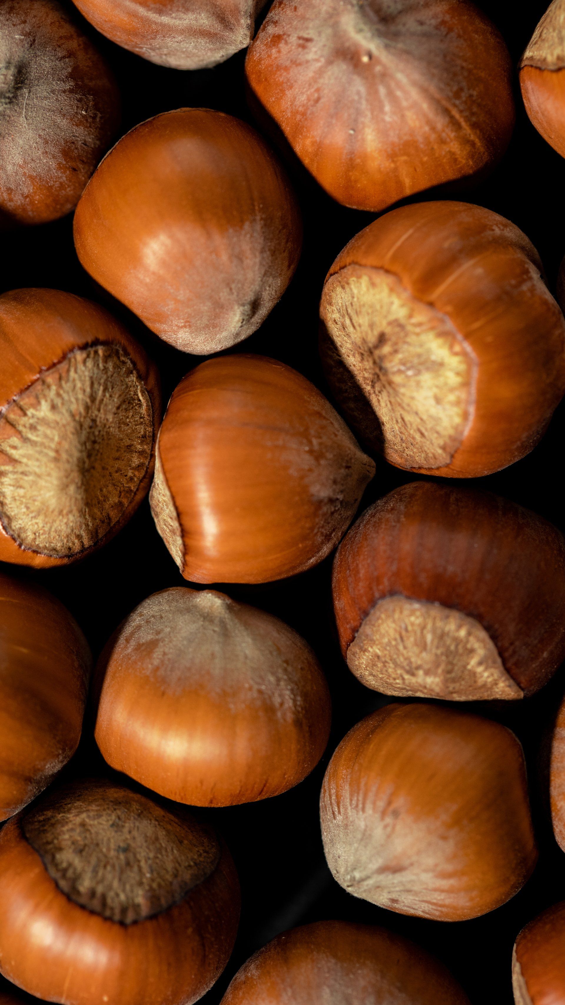 IGP hazelnuts
