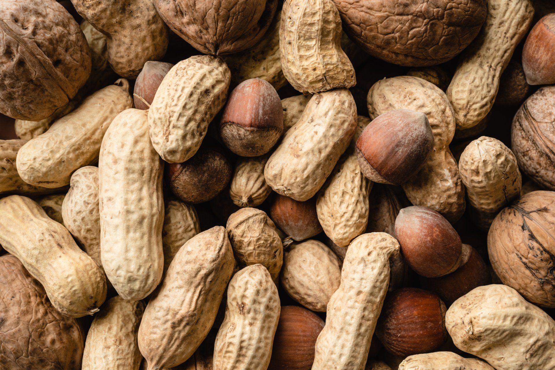 Nuts and dried fruits