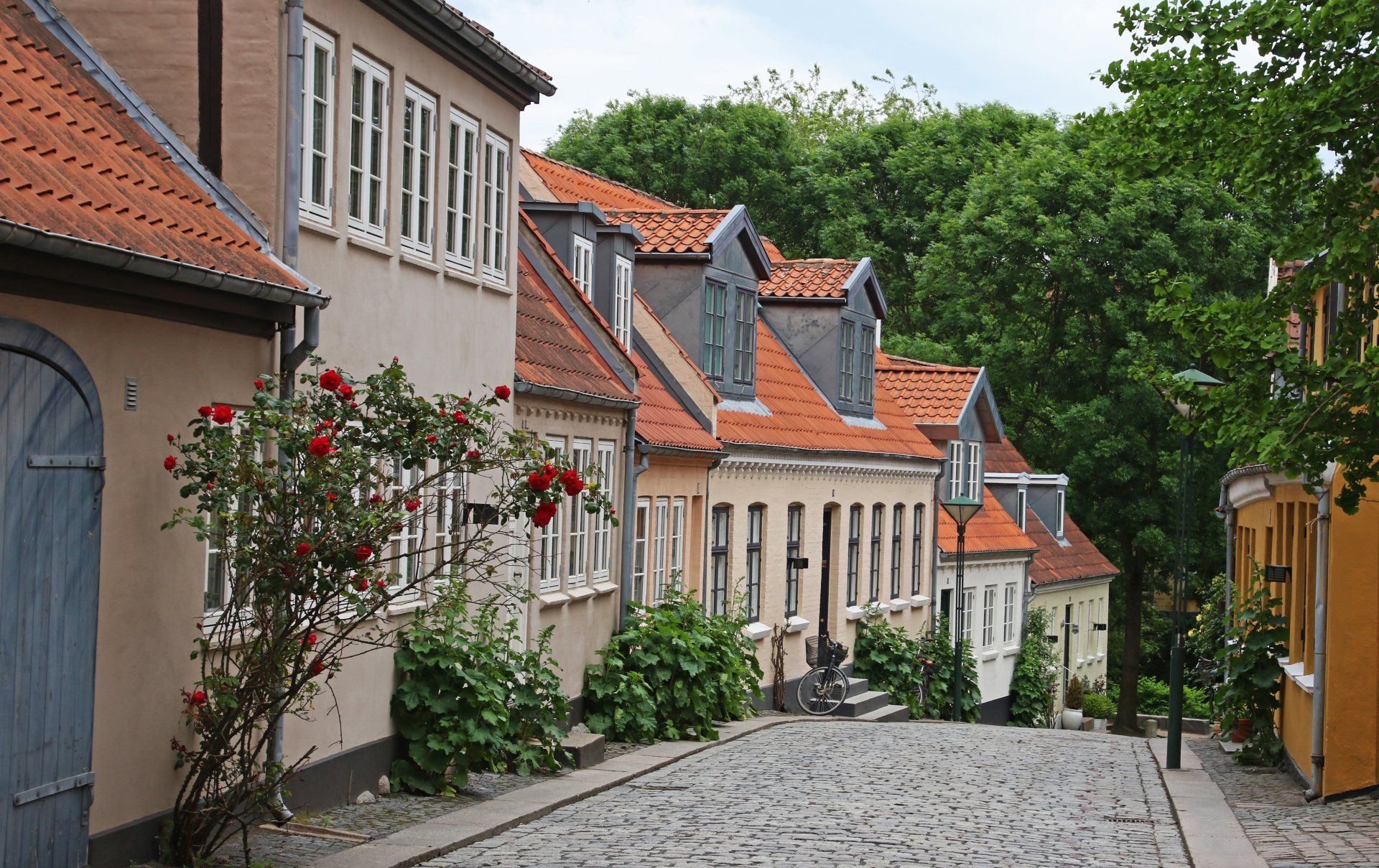cobble street with residential properties
