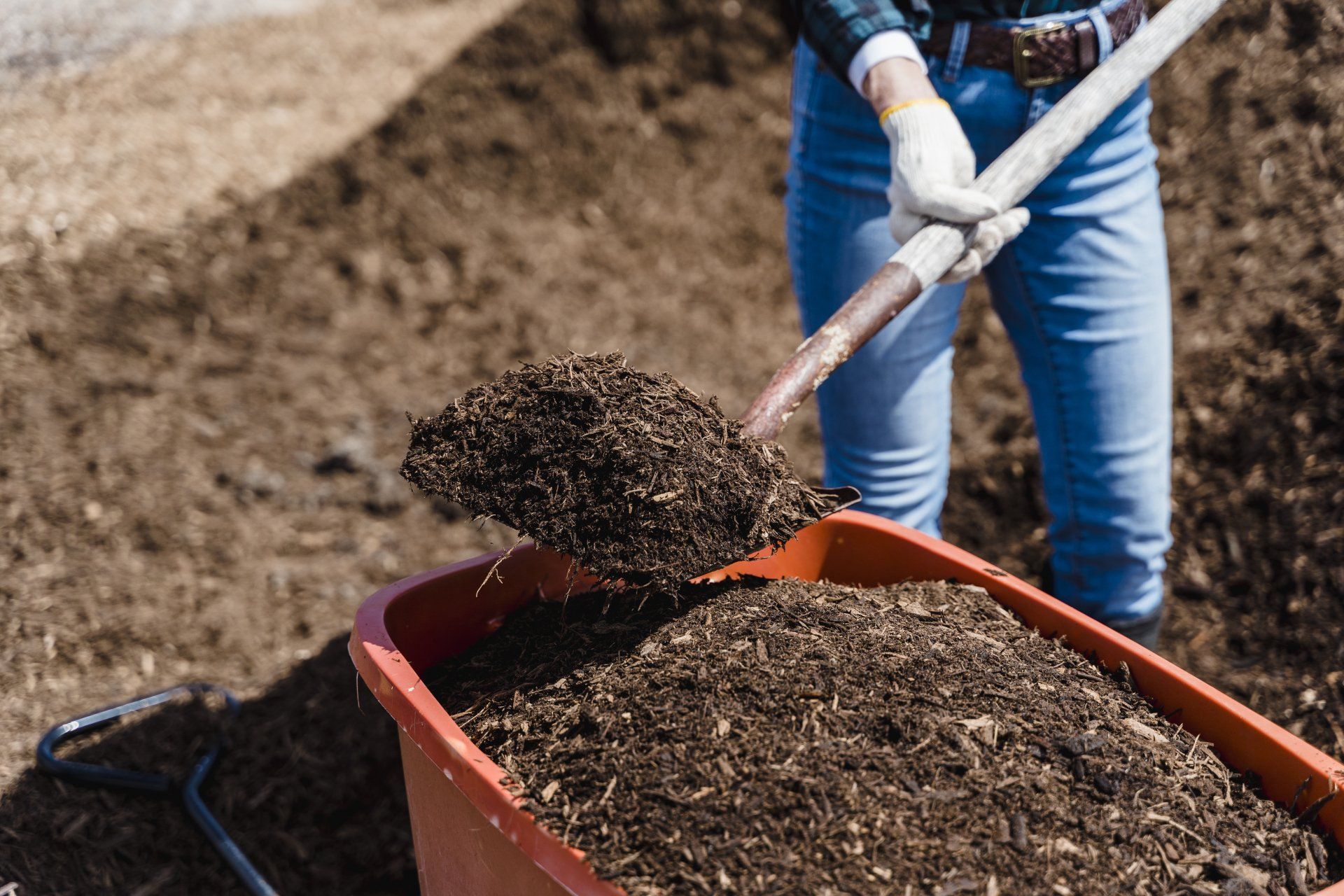 A worker shoveling compost into a wheelbarrow