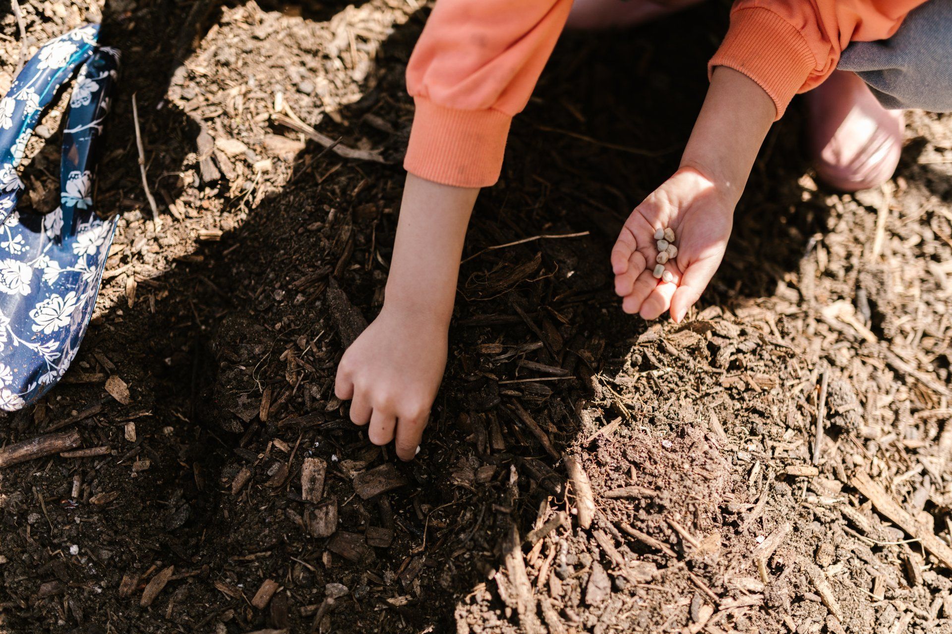composting wood chips