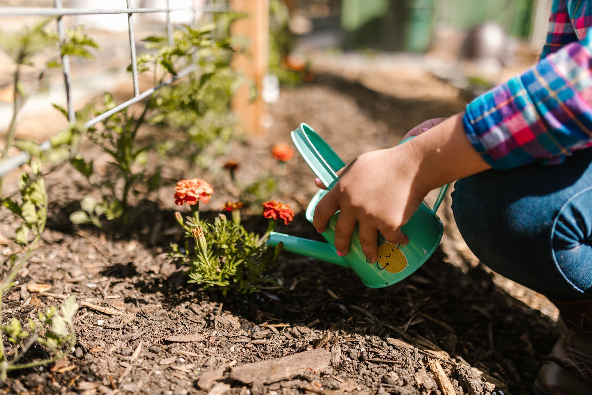 Mulching | Land O Lakes, FL | Turning Point Property Maintenance