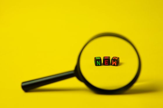 SEO (Search Engine Optimization)