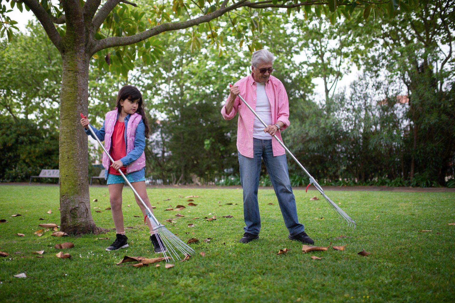 A man and a little girl are raking leaves in a park.