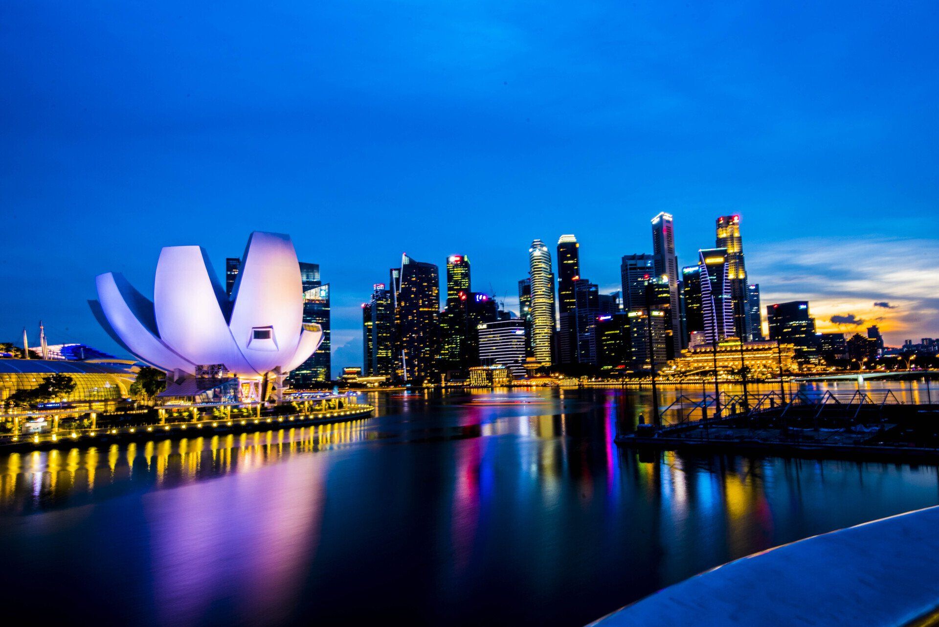 A city skyline at night with a lotus flower in the foreground.