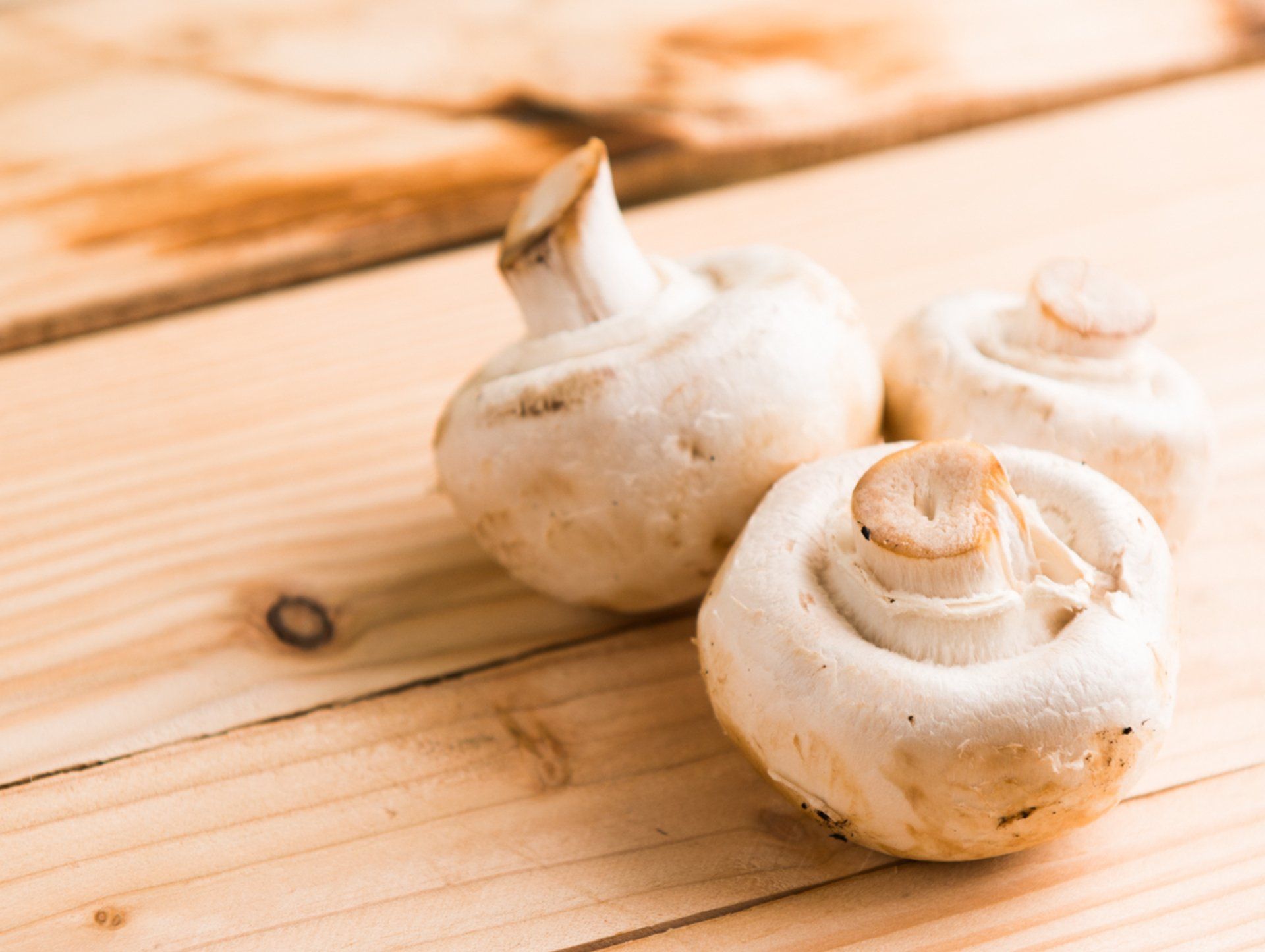 Champignons goed voor darmgezondheid
