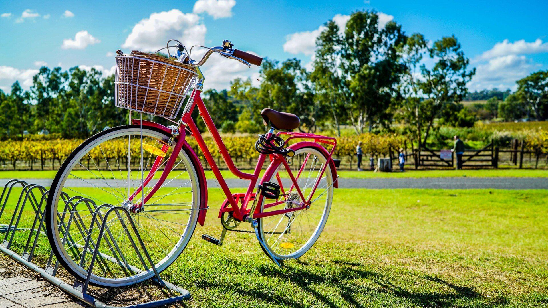 bike