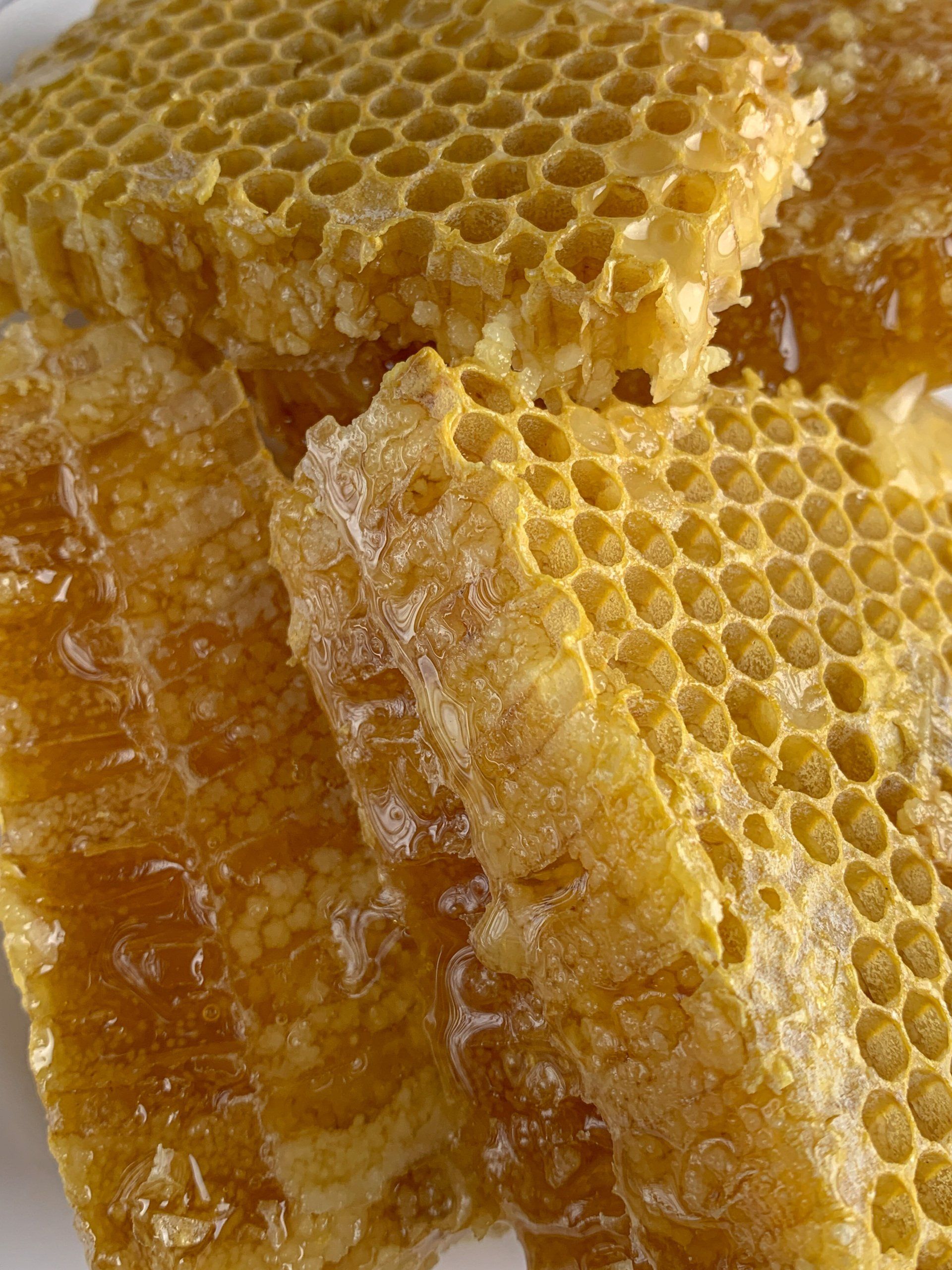 Sacred Bees - A Poem by Sue Cartwright, Spiral Leaf