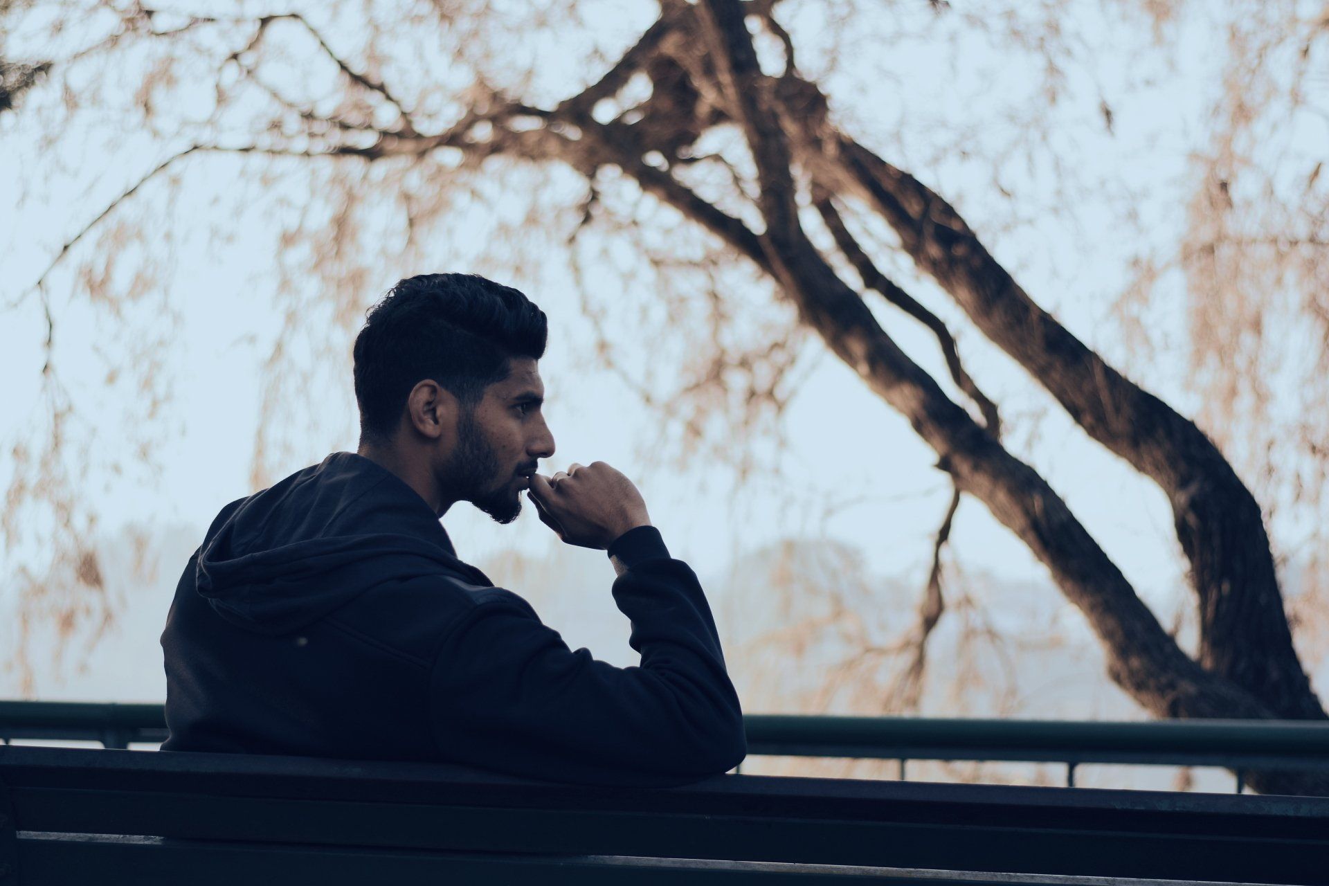 Man thinks about dangerous tree limb