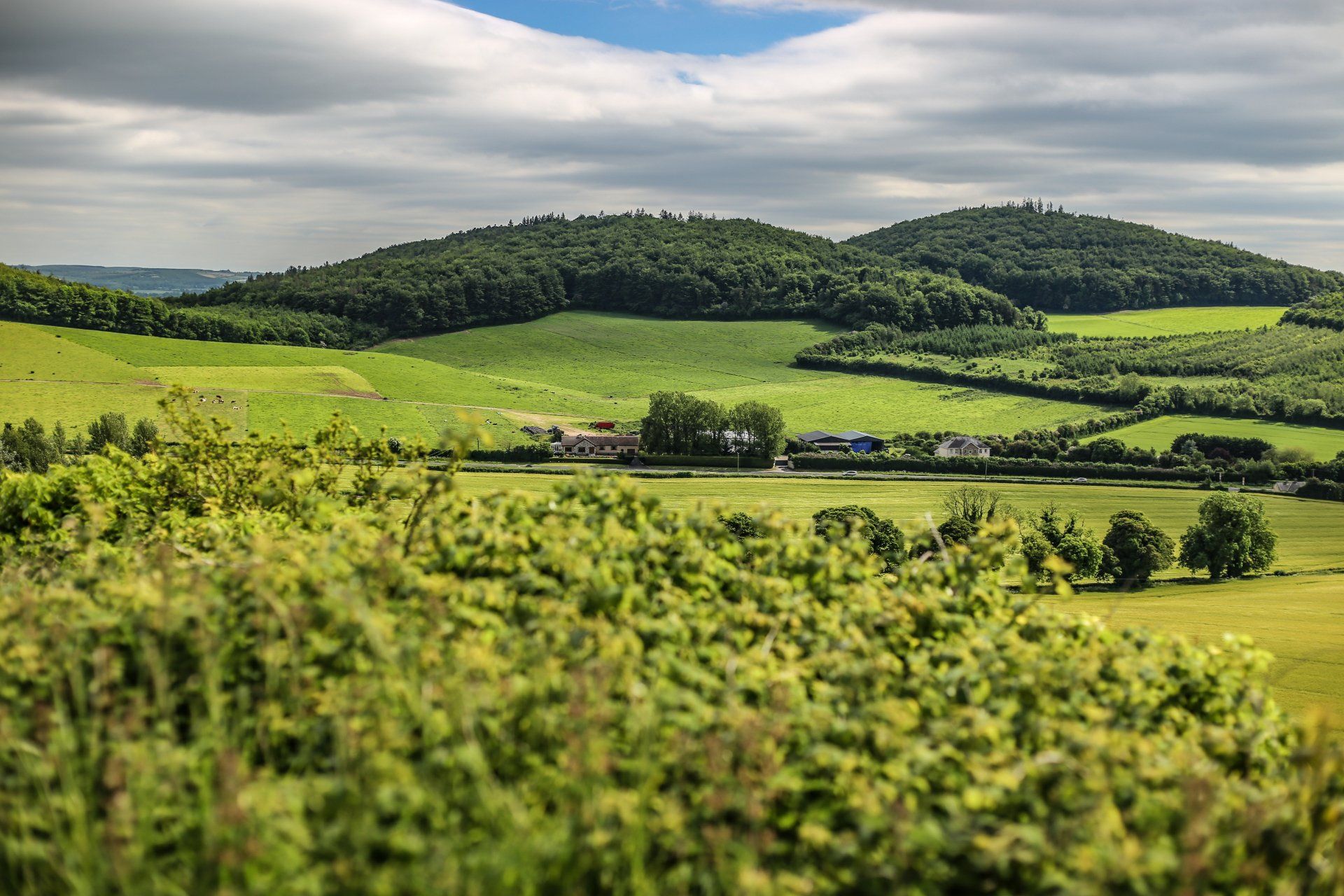 Rolling green hills and farmland under a cloudy sky