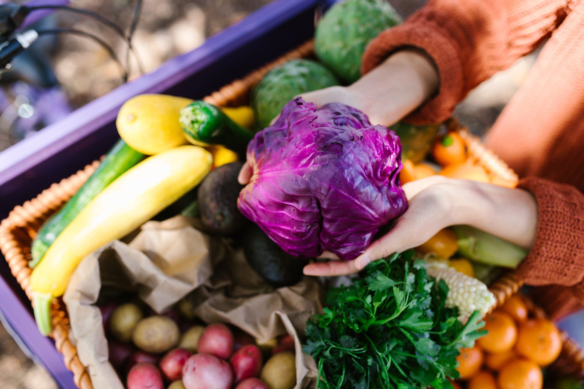 Hands holding purple cabbage over a basket overflowing with fresh produce, including zucchini and oranges.
