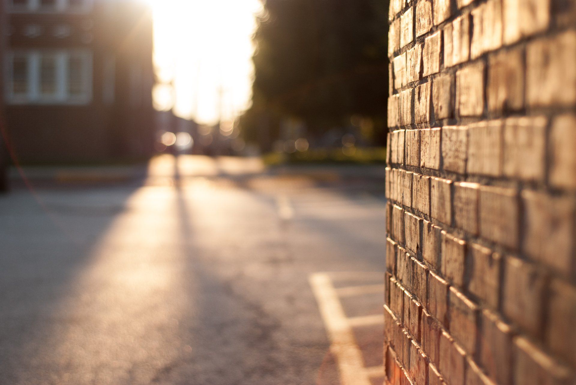 Brick wall in foreground; street scene with sunlit road and blurred buildings.