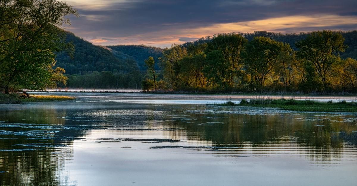 A large body of water with trees on the shore and mountains in the background.
