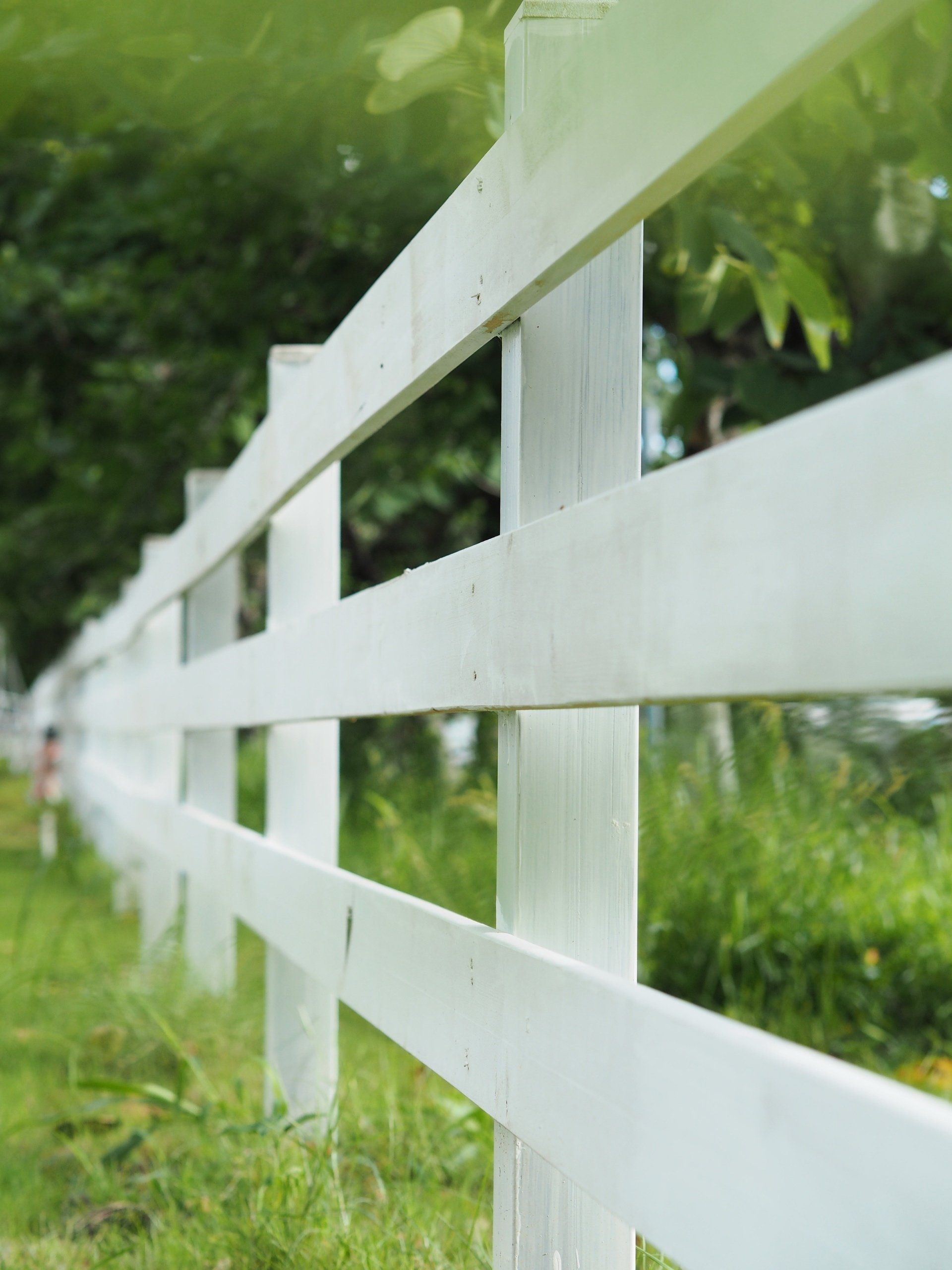 White wooden fence along a green, leafy path in a park-like setting