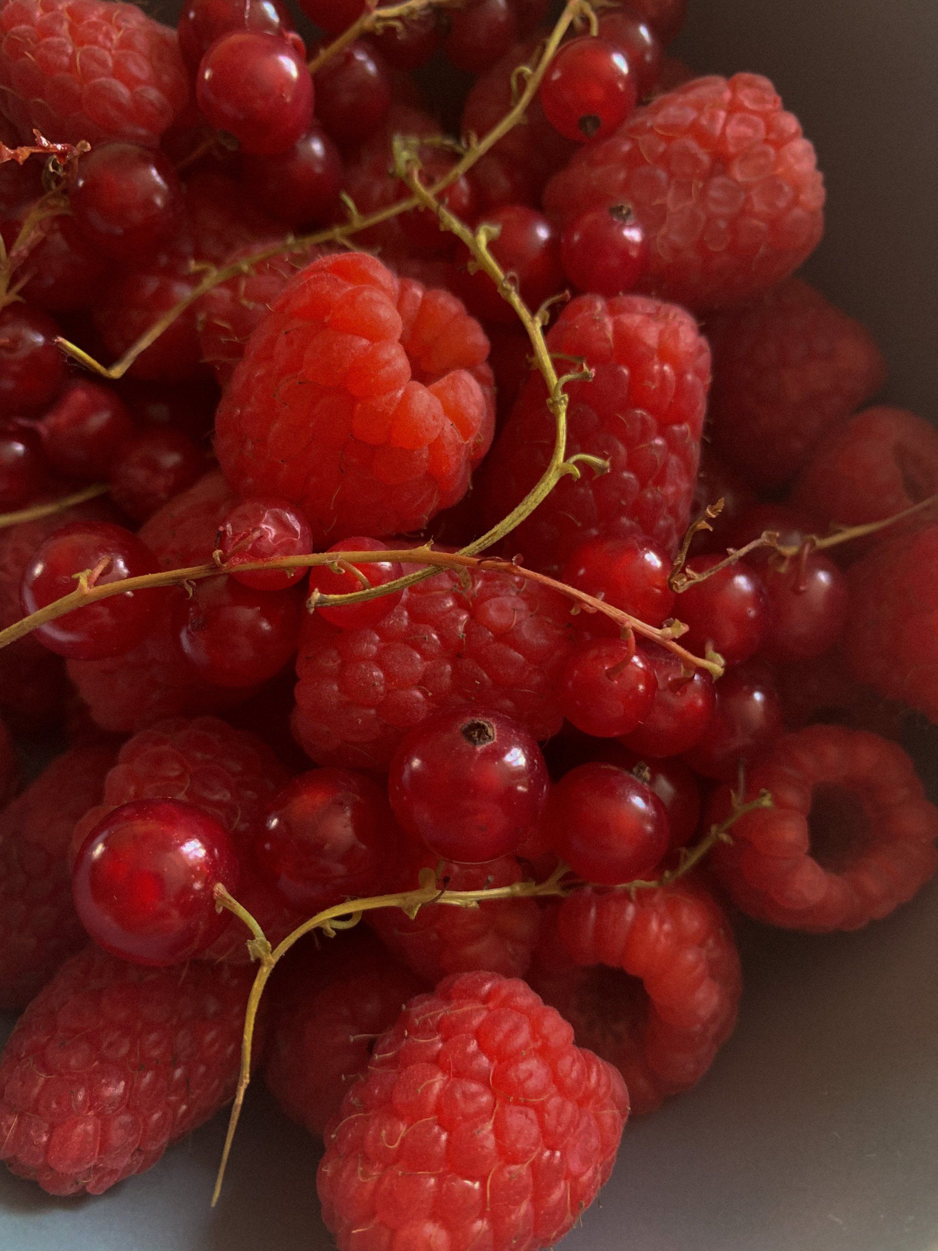 Nahaufnahme von zusammengestapelten roten Himbeeren und Johannisbeeren mit Stielen.