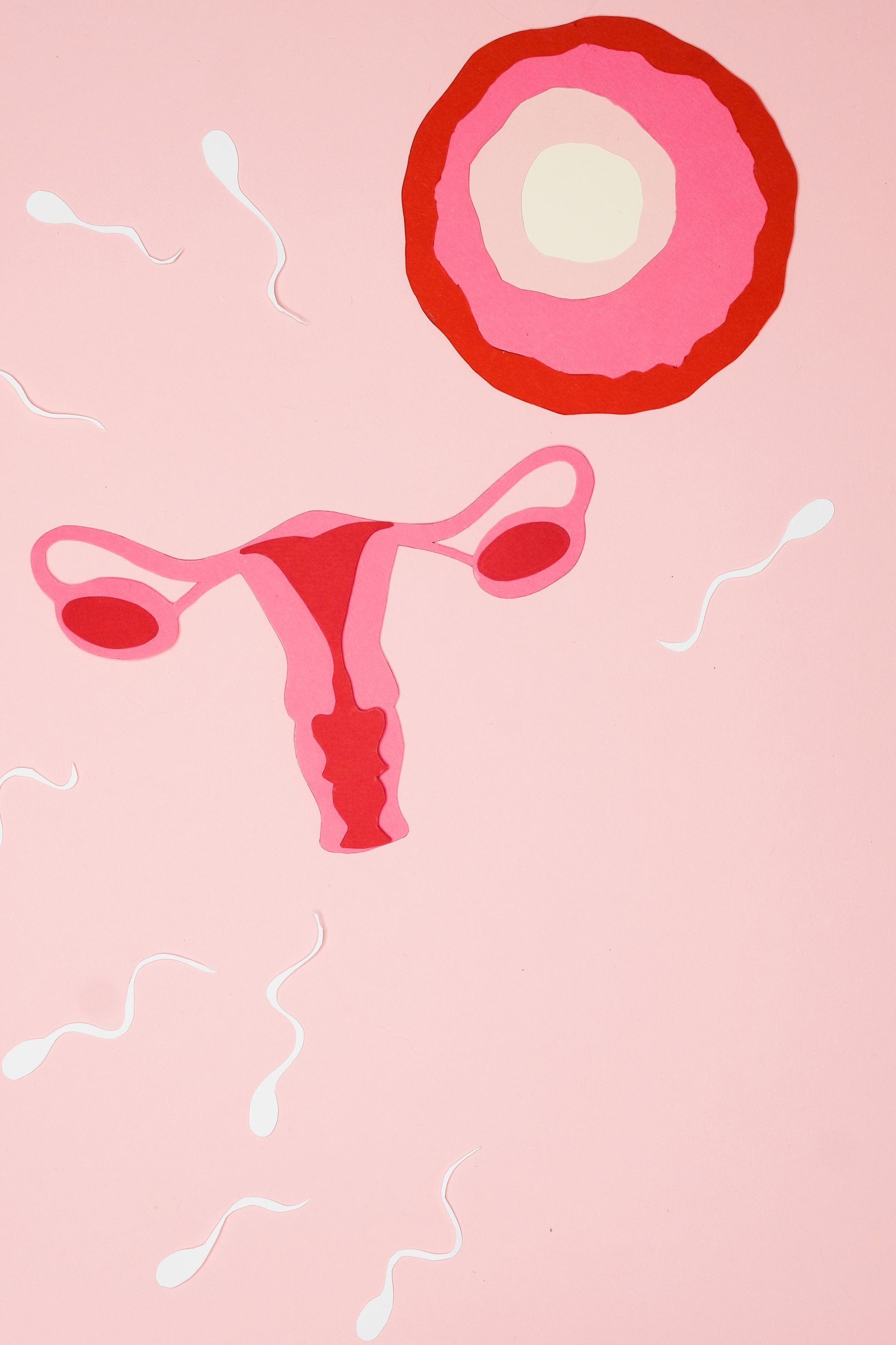 Utero stilizzato con ovaie e icona circolare rossa di un ormone su sfondo rosa