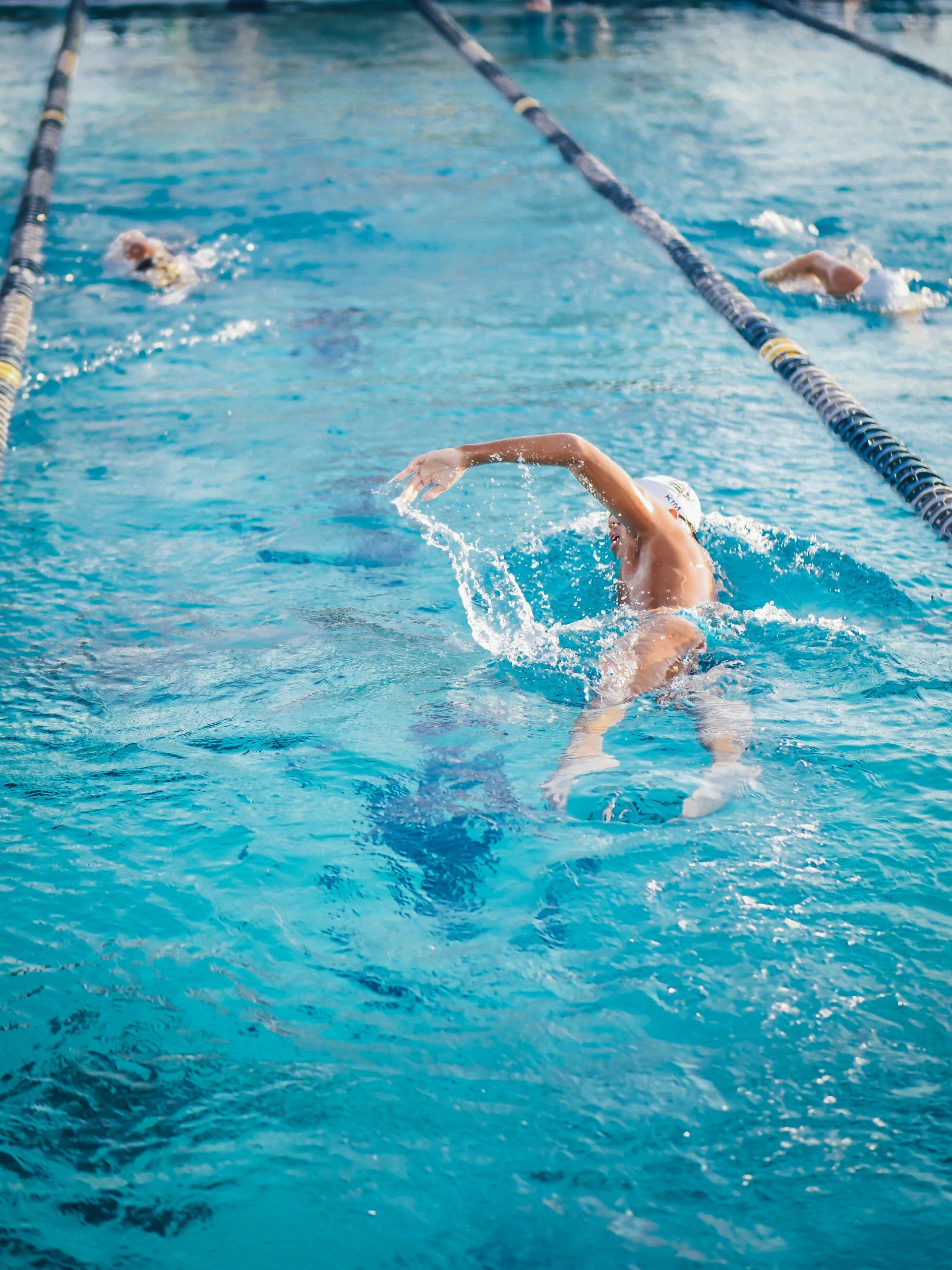 A group of people are swimming in a swimming pool.