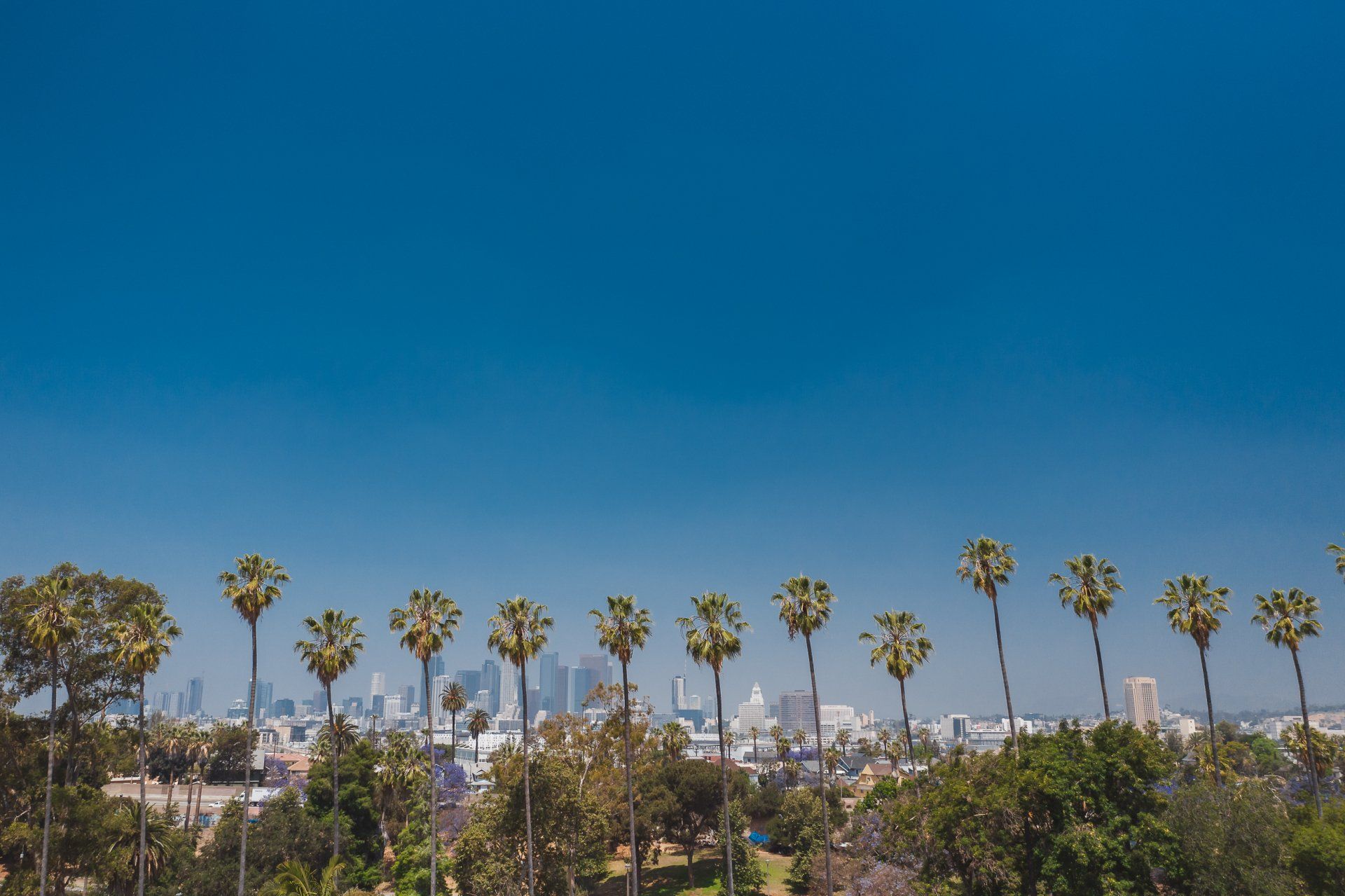 Koreatown Apartments Near Downtown LA