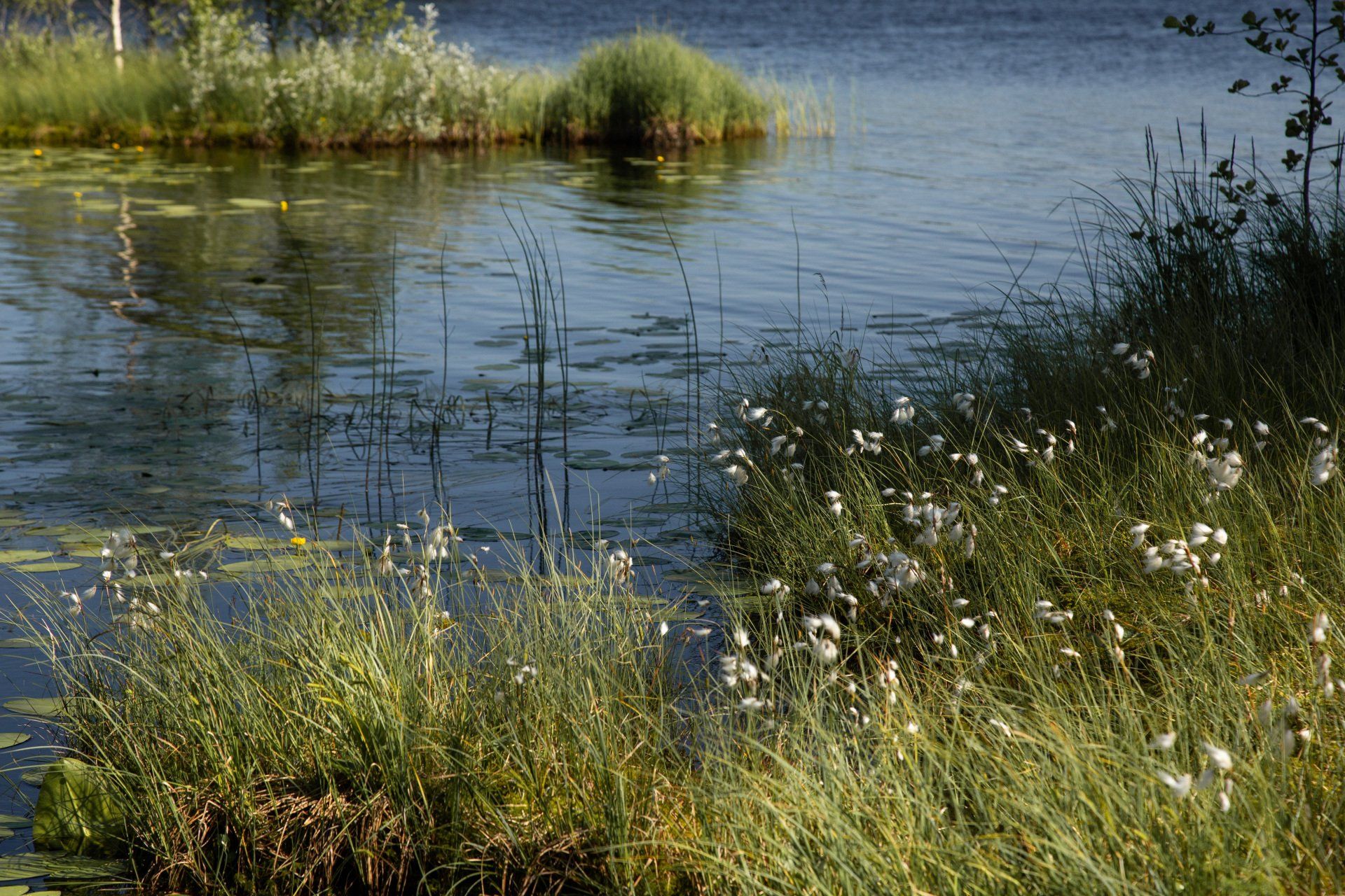 beautiful lake
