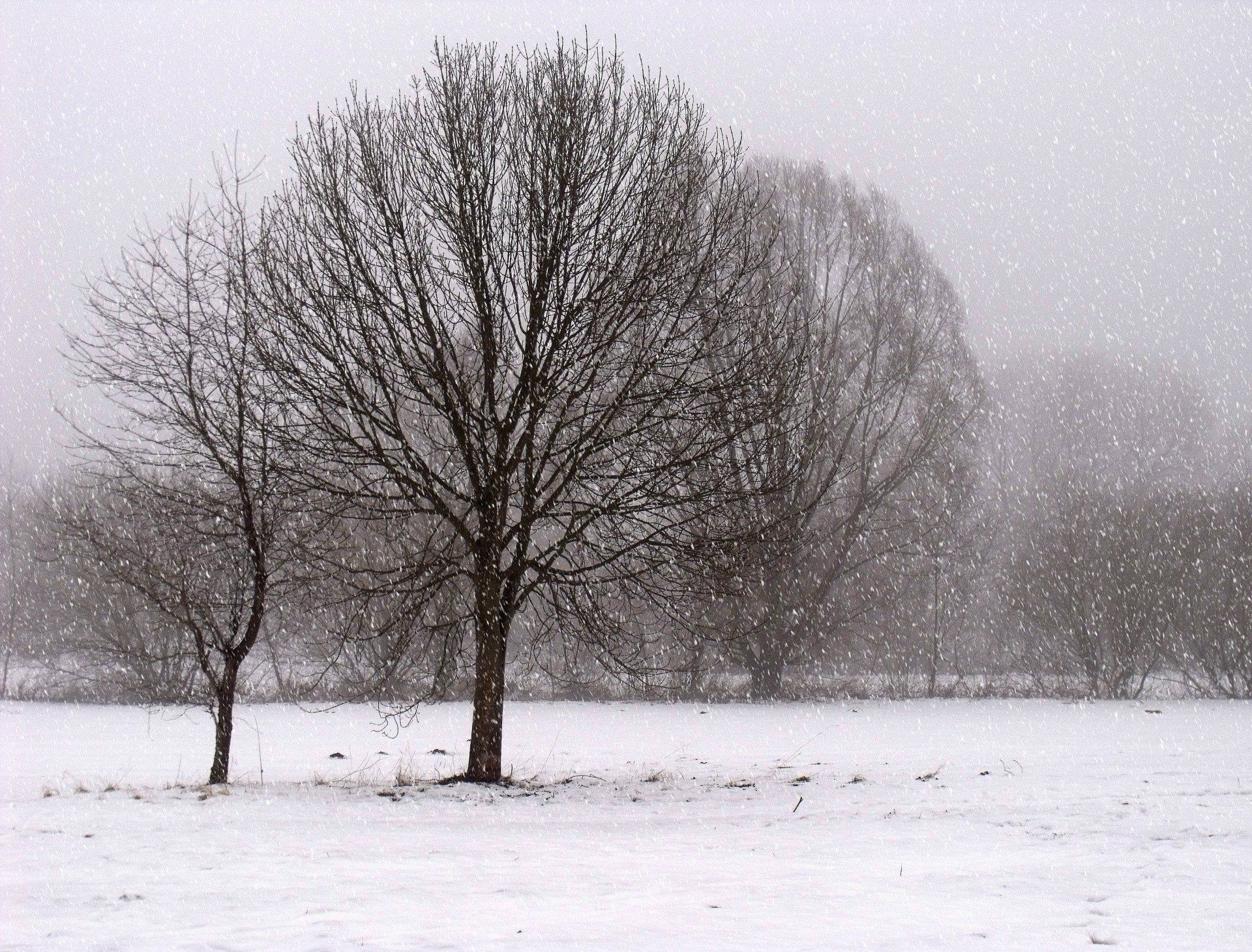 Winter Solstice by Sue Cartwright, Spiral Leaf Winter Solstice - A Poem by Sue Cartwright, Spiral Leaf