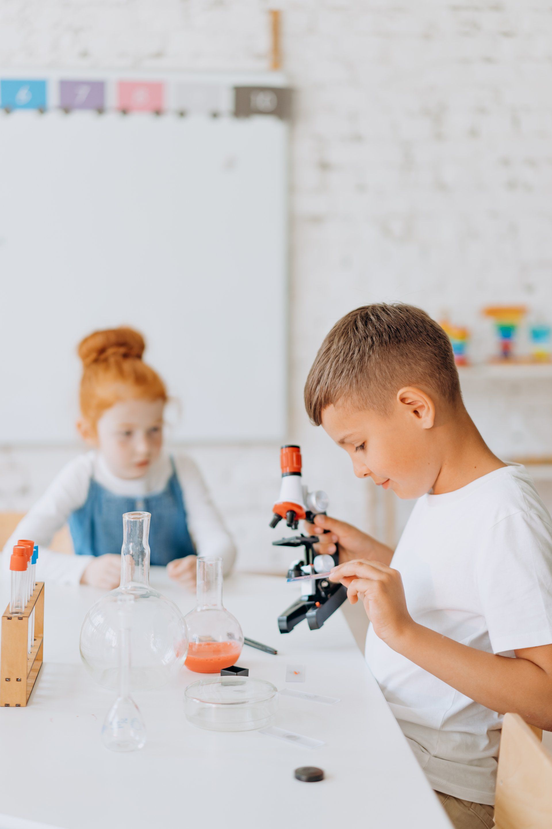 Lake Macquarie and Newcastle Tuition