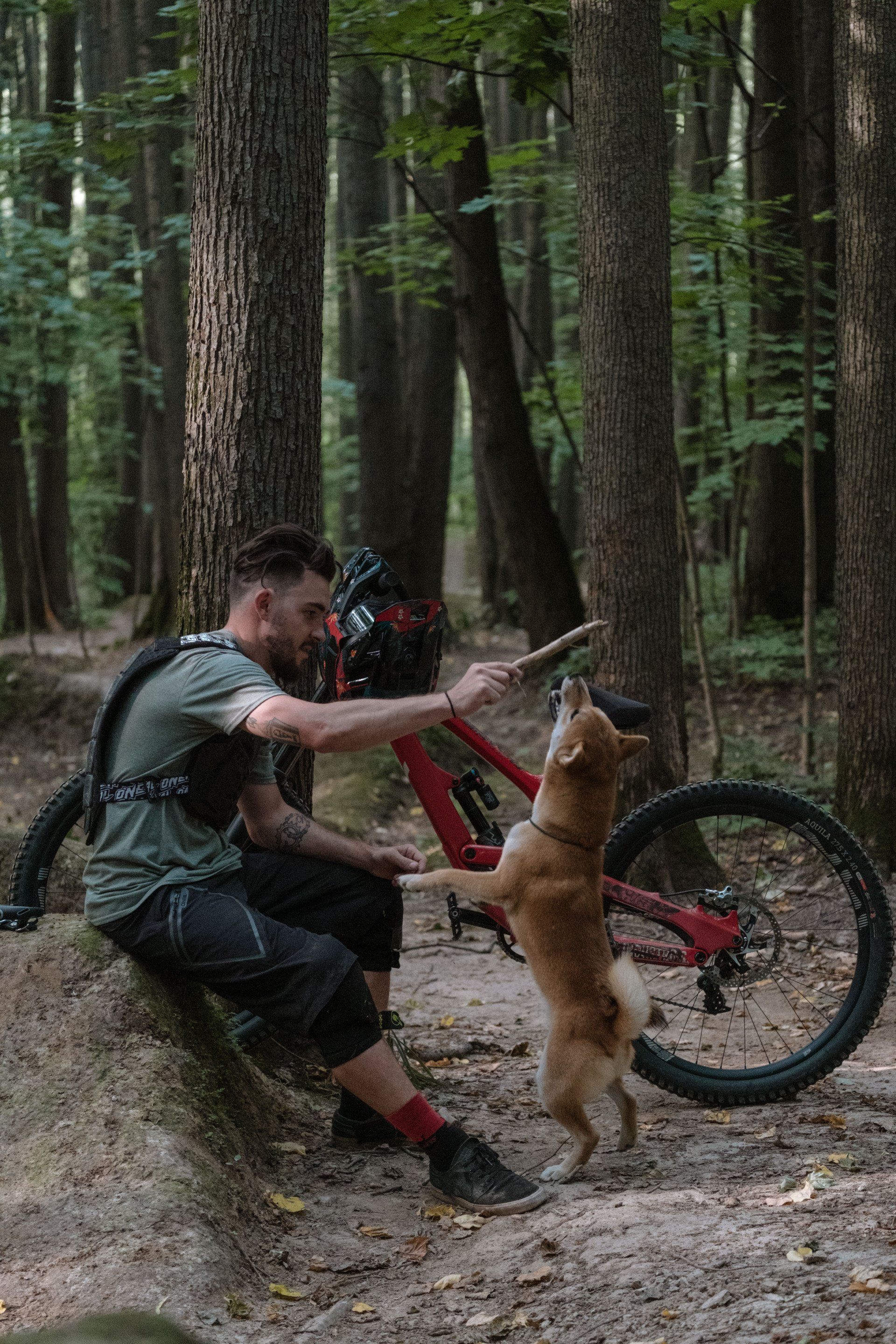 A man is sitting next to a bicycle in the woods with a dog.