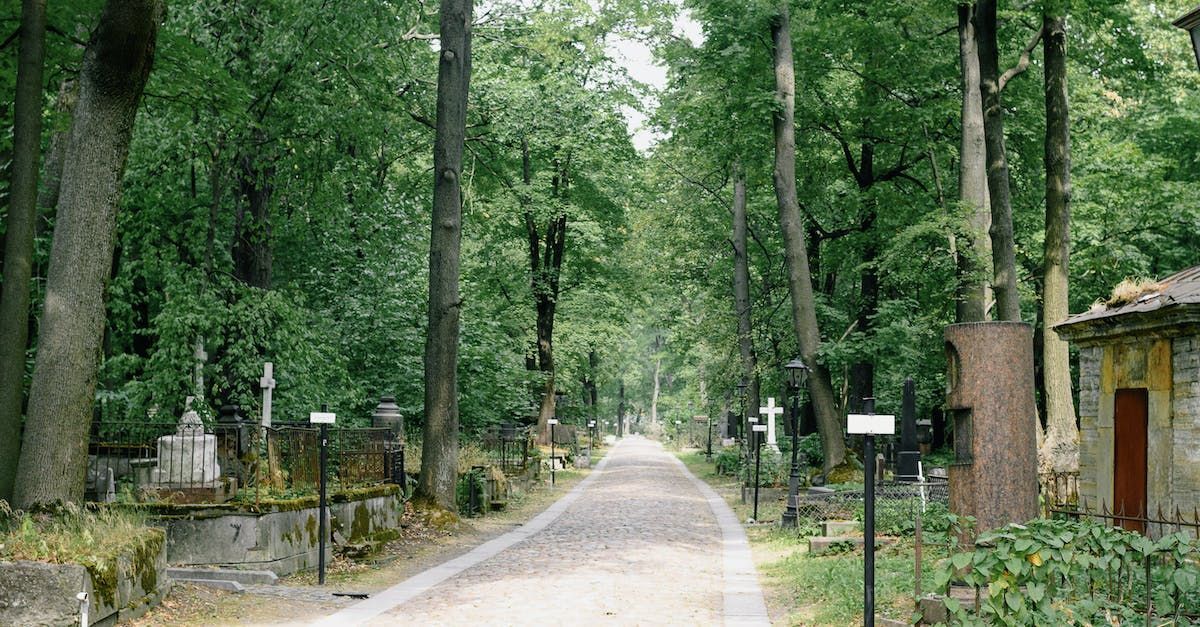 Een smal, met bomen omzoomd grindpad kronkelt door een rustige, groene begraafplaats vol grafstenen en gedenktekens.