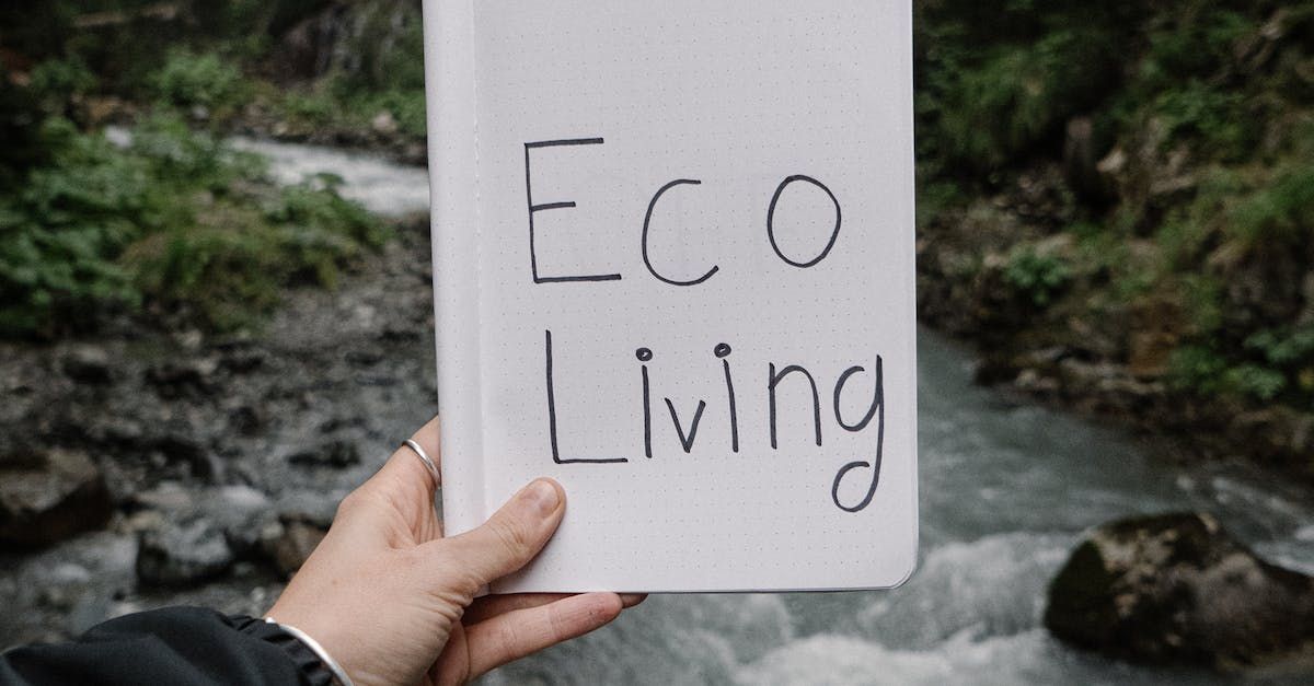 Hand holding a white sign reading “Eco Living” by a stream in a wooded area