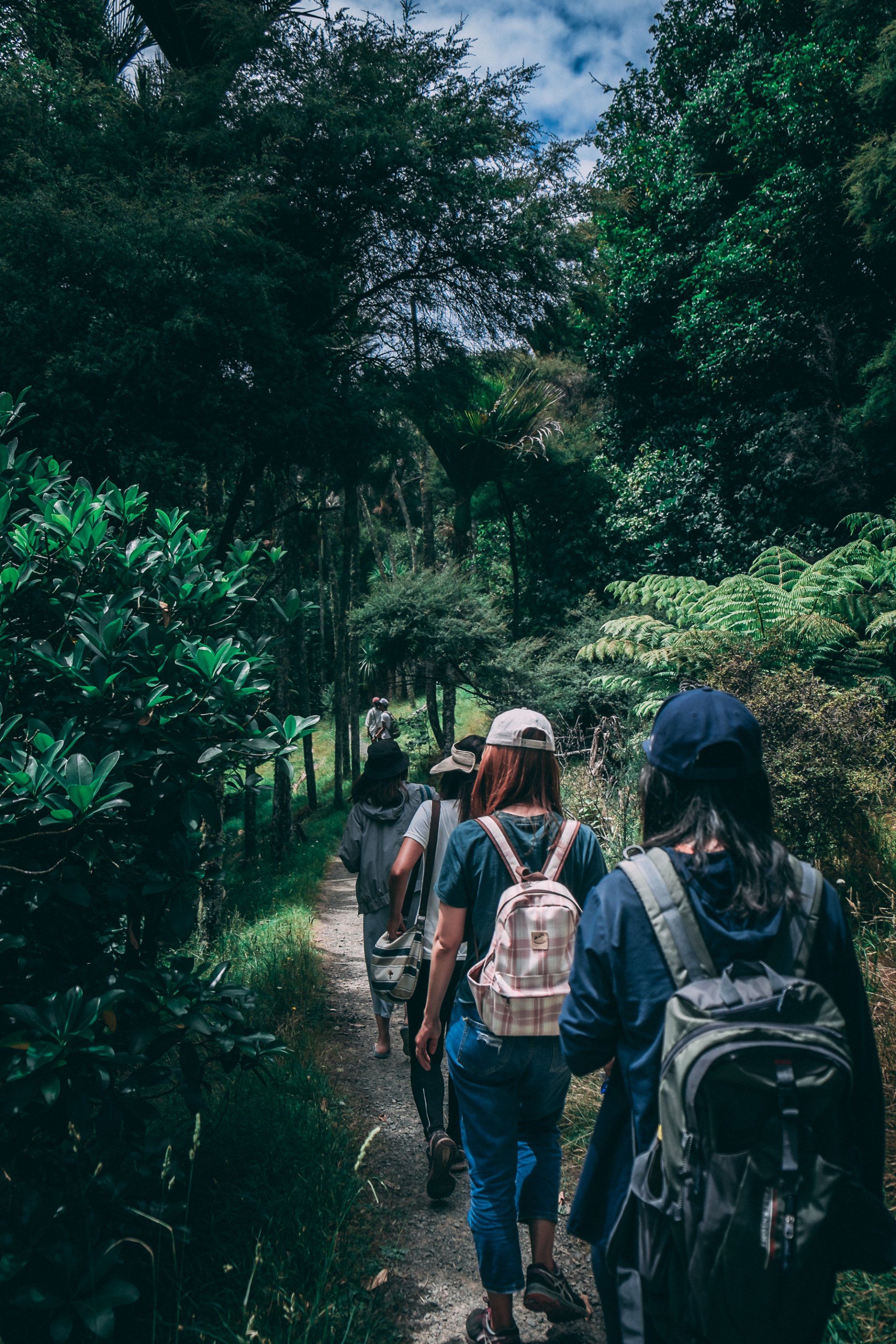 A group of people are walking down a path in the woods.