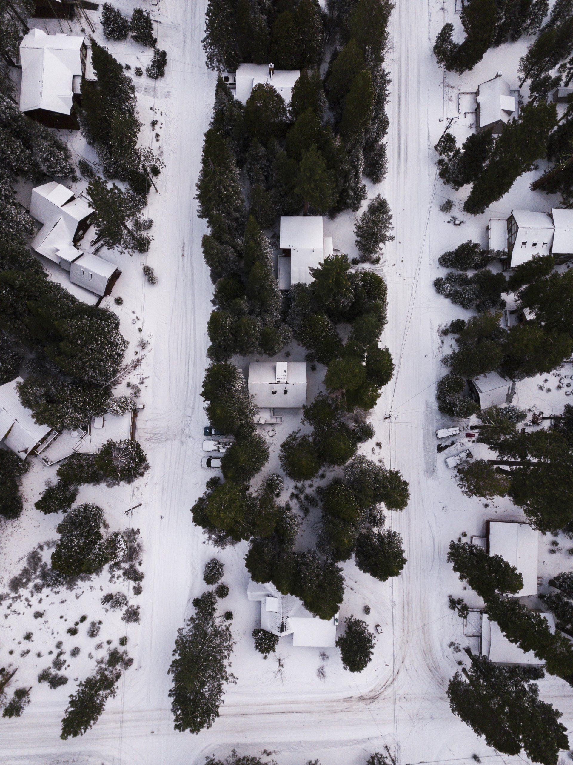 Aerial view of residential properties and woodland in winter