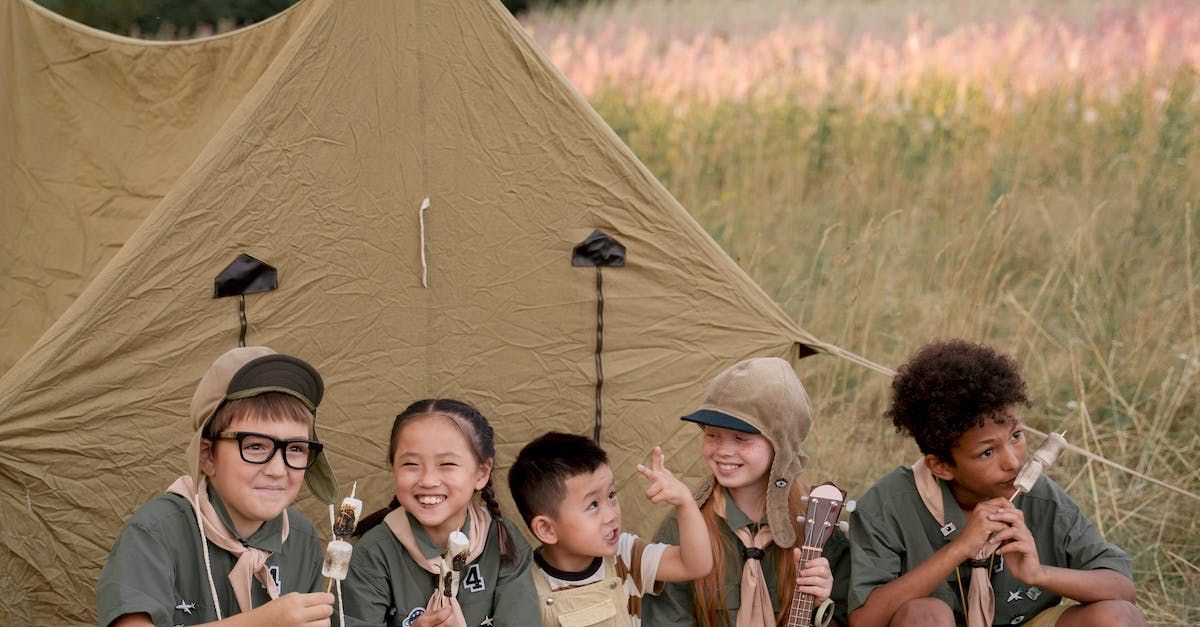 Scout troops