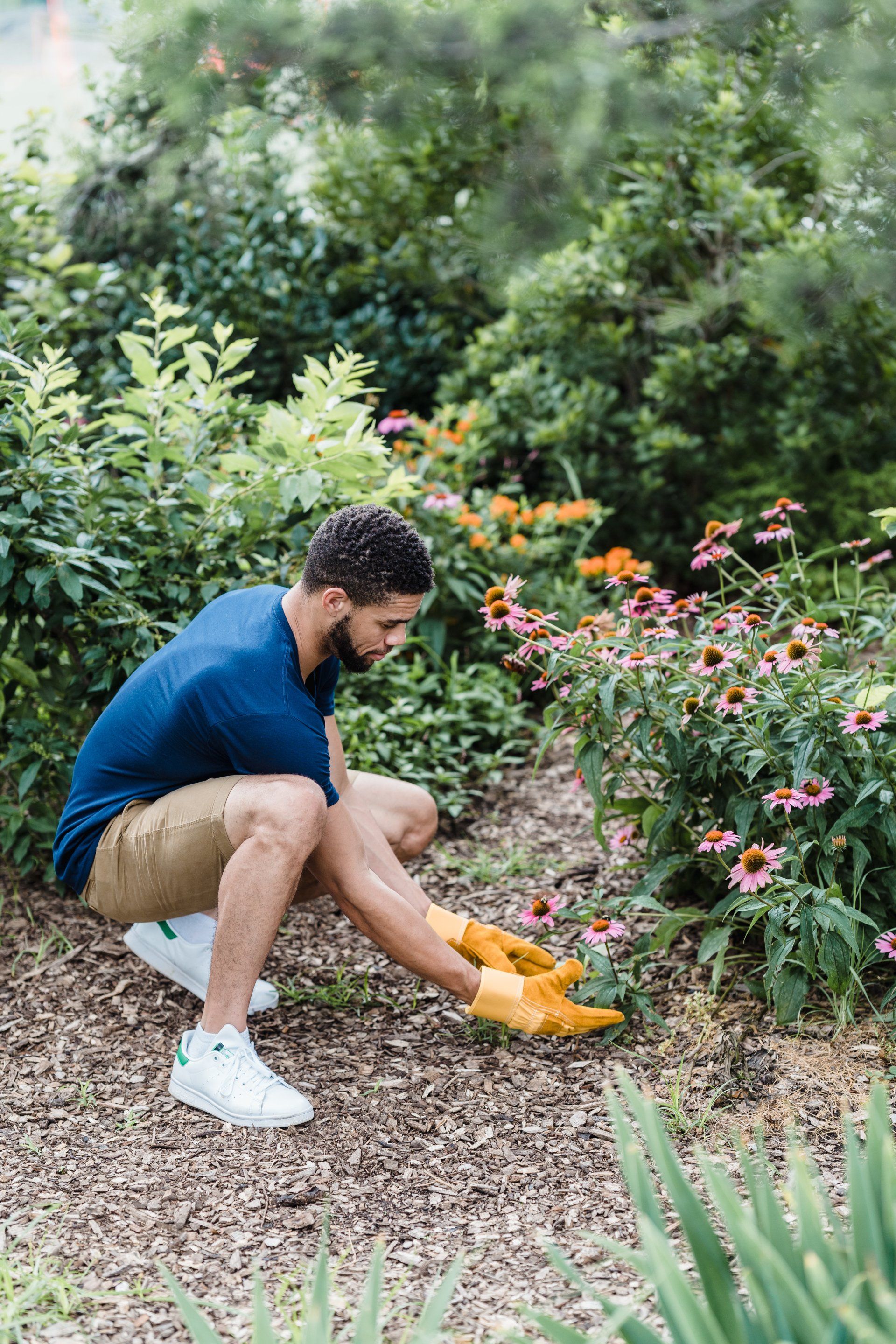 a person tending to the garden