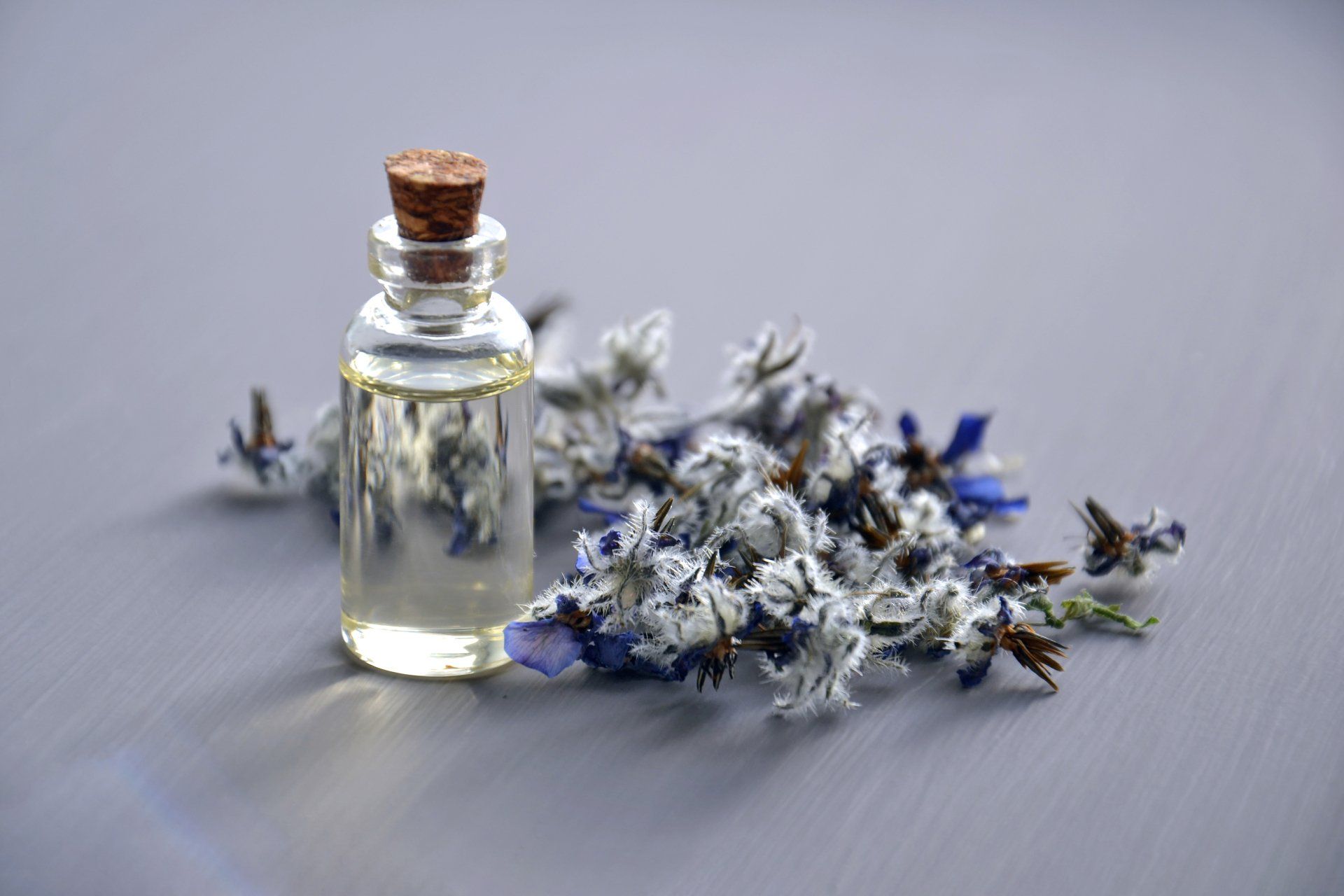 Health Directory - Homeopathy - Community Assembly of the British Isles
