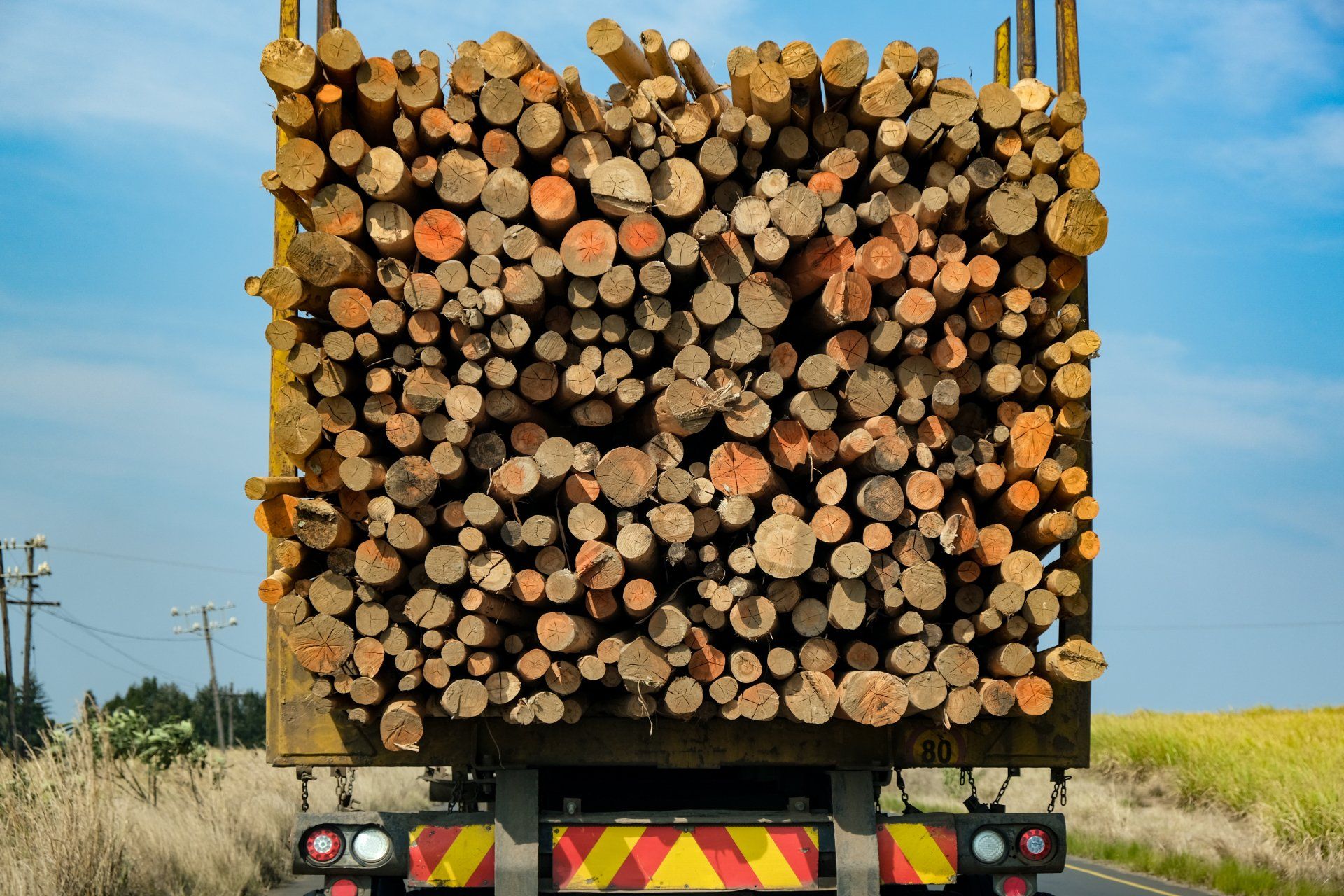A truck is carrying a large pile of logs on the back of it.
