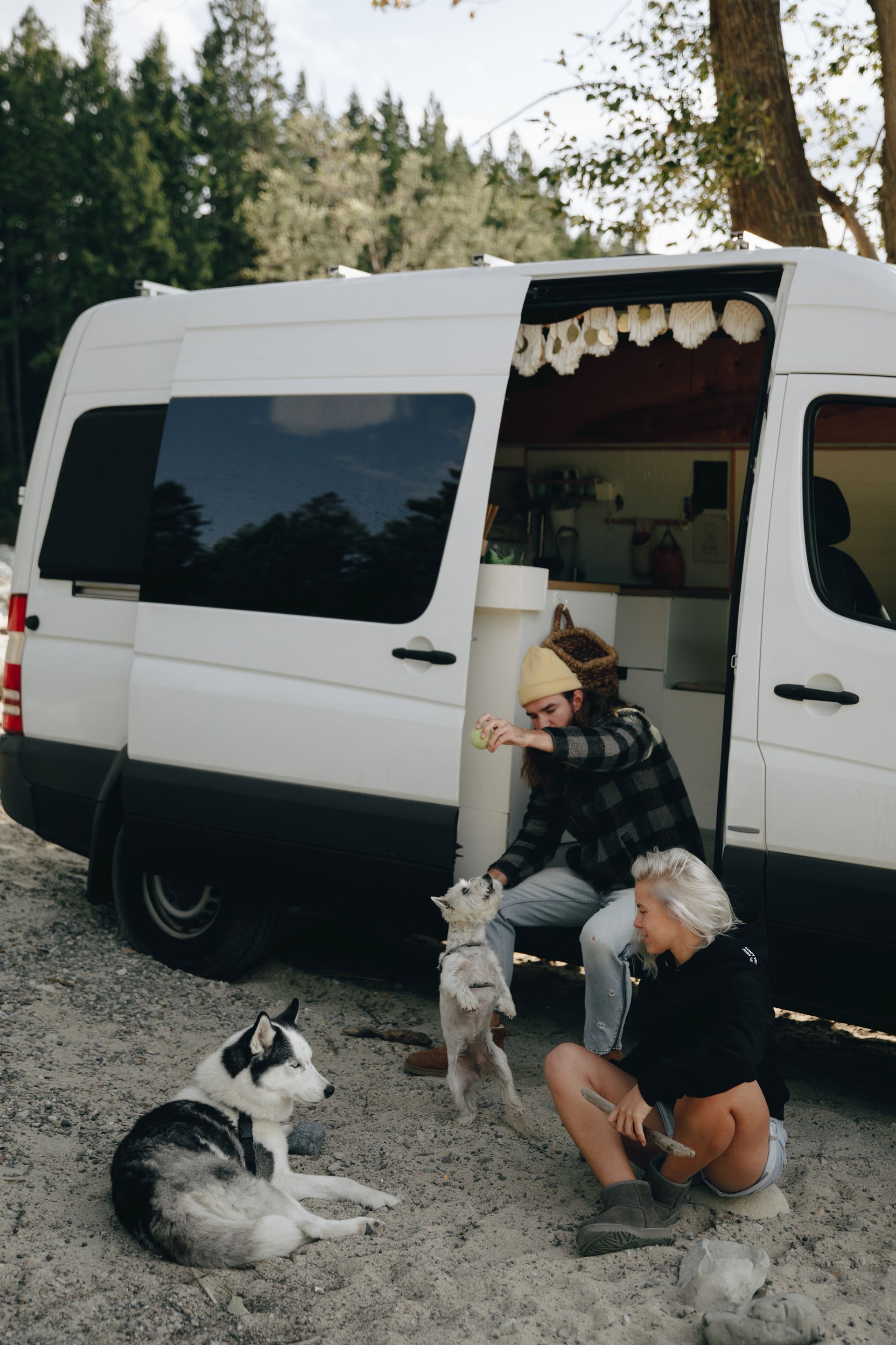 two person with their two dogs