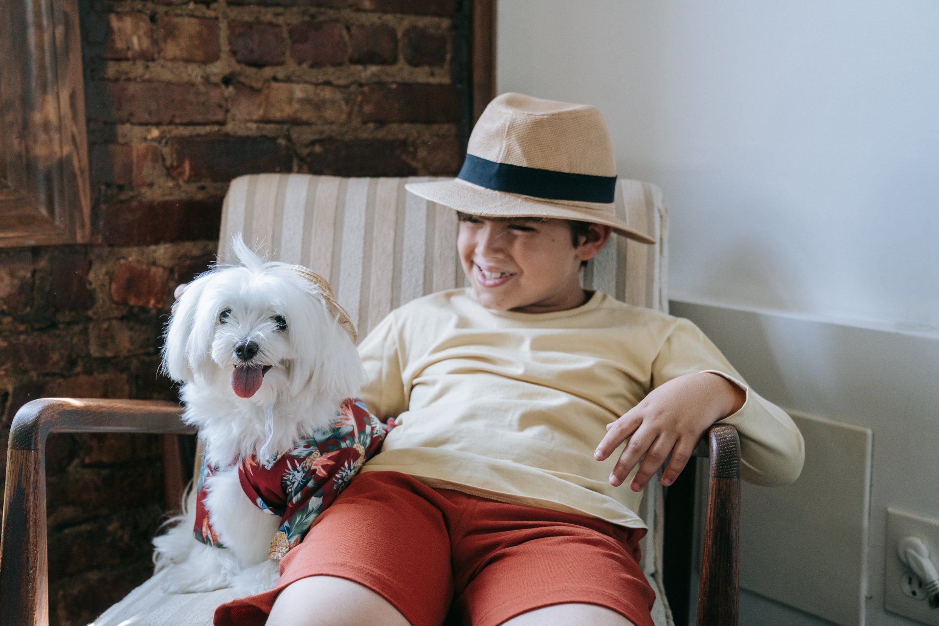 Pet Sitter