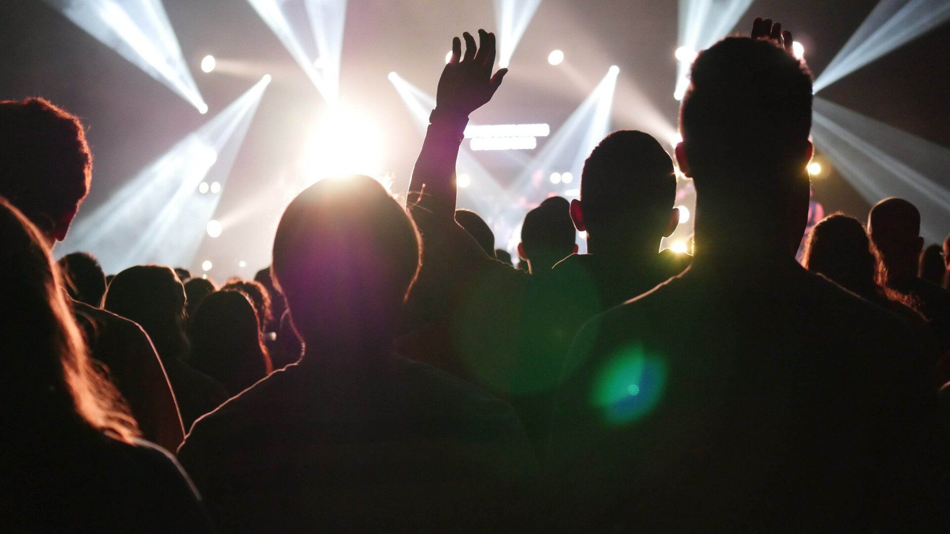 Şahin Event, Konser